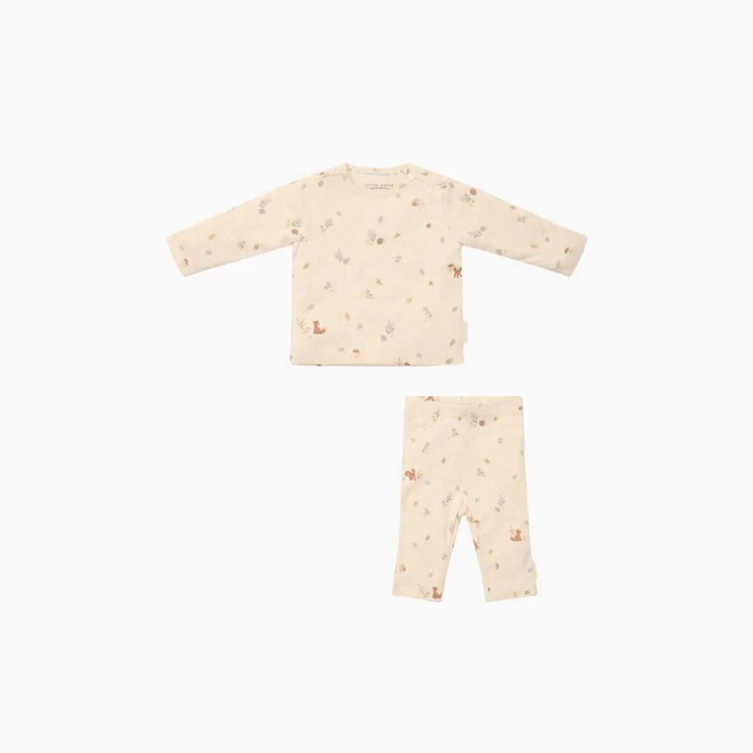 Conjunto forest