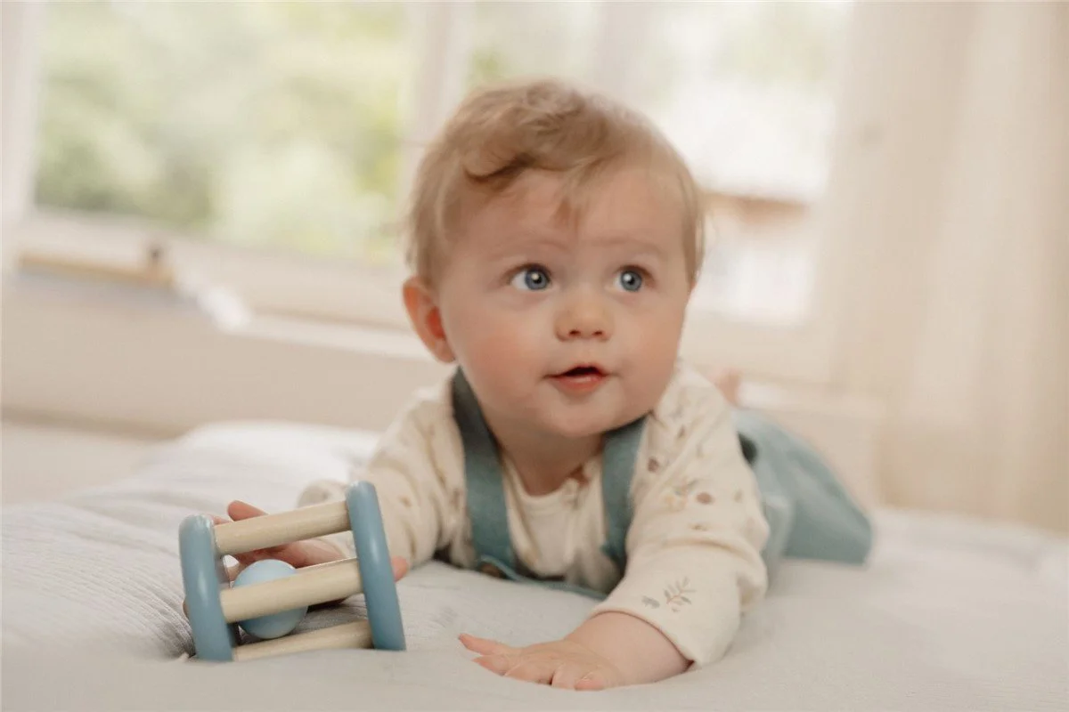 ROLLER Forest Friends