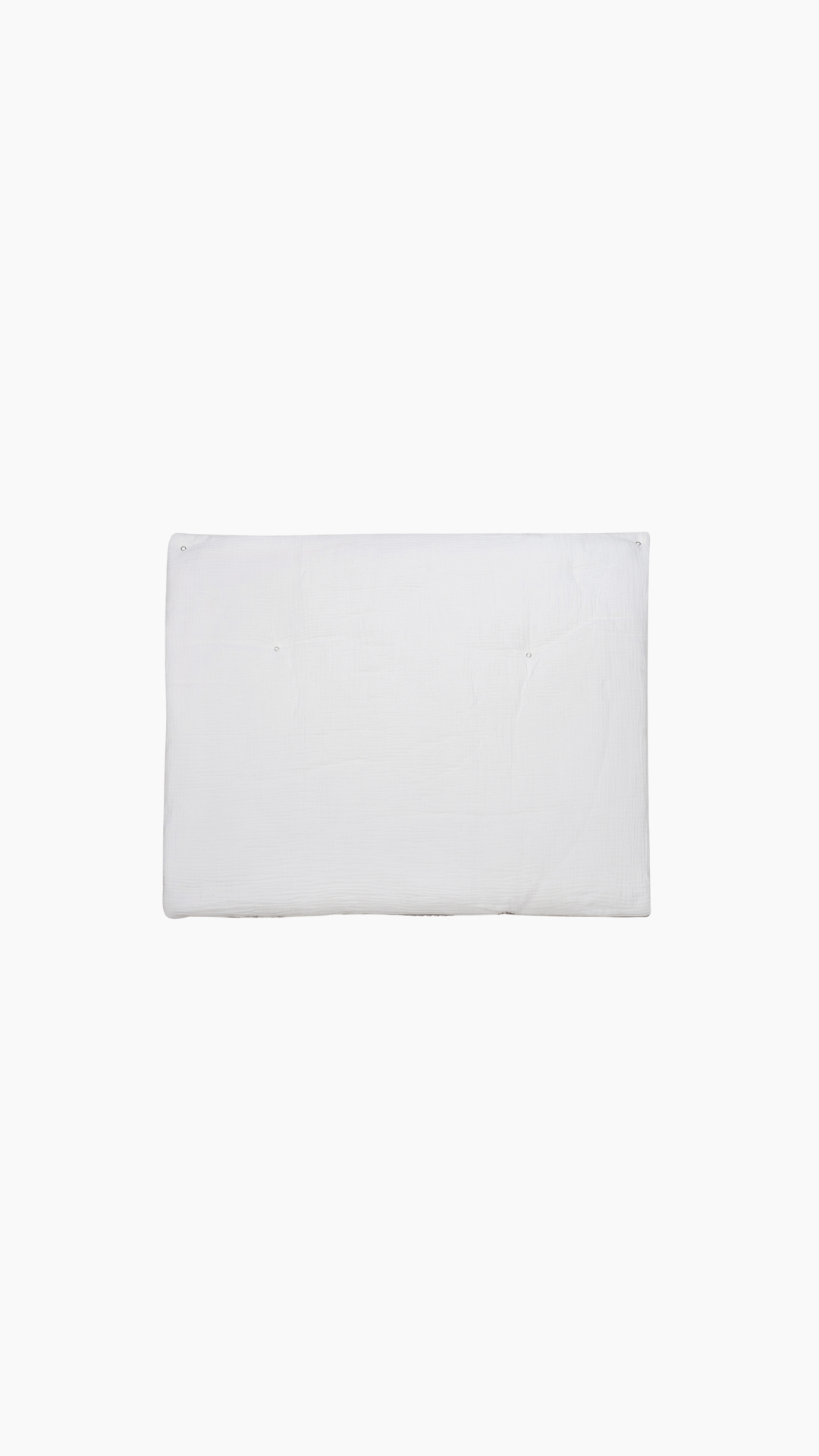 54.png