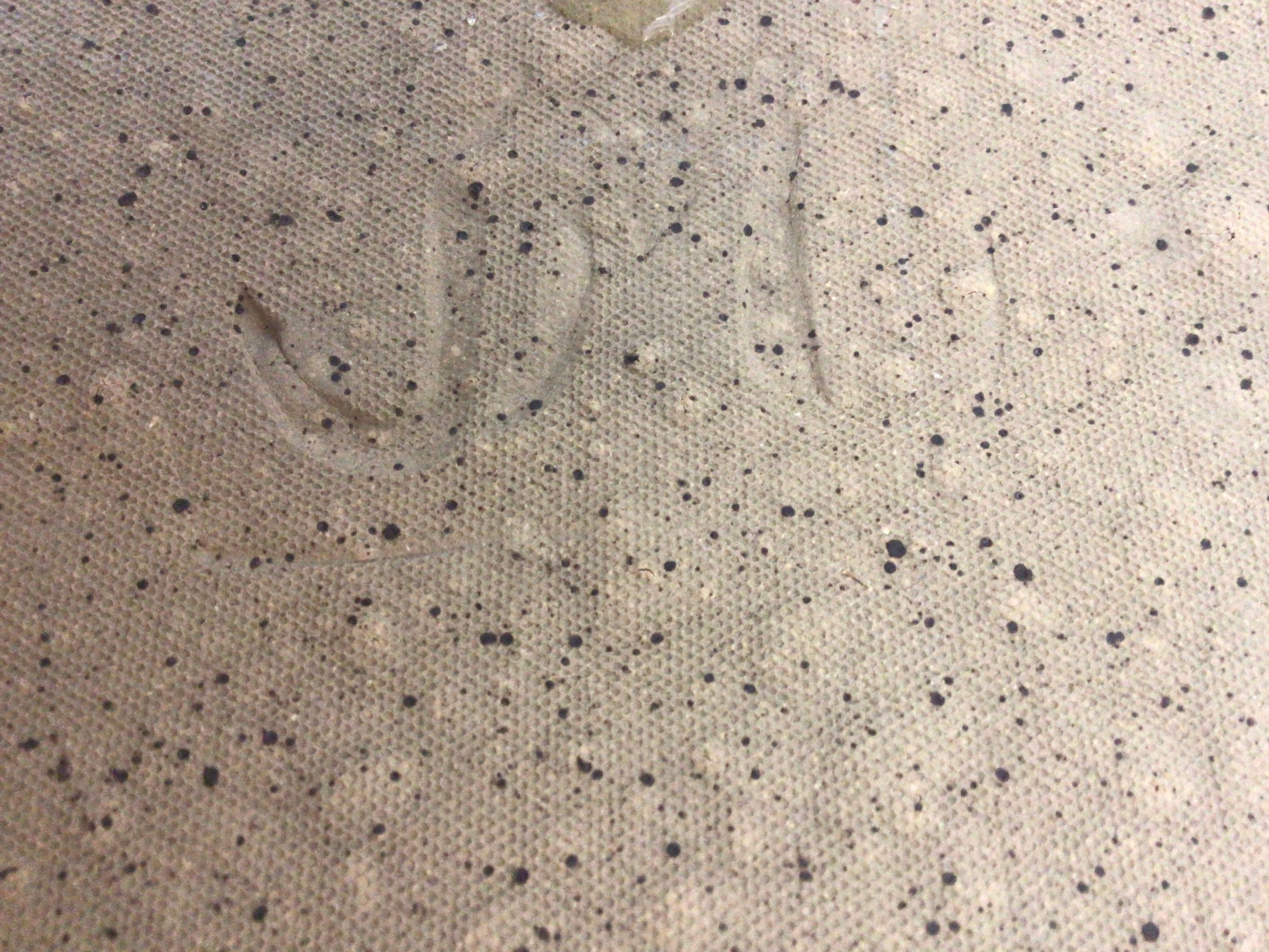 https://i.etsystatic.com/23849380/r/il/e3d96d/2731711673/il_fullxfull.2731711673_c4gw.jpg