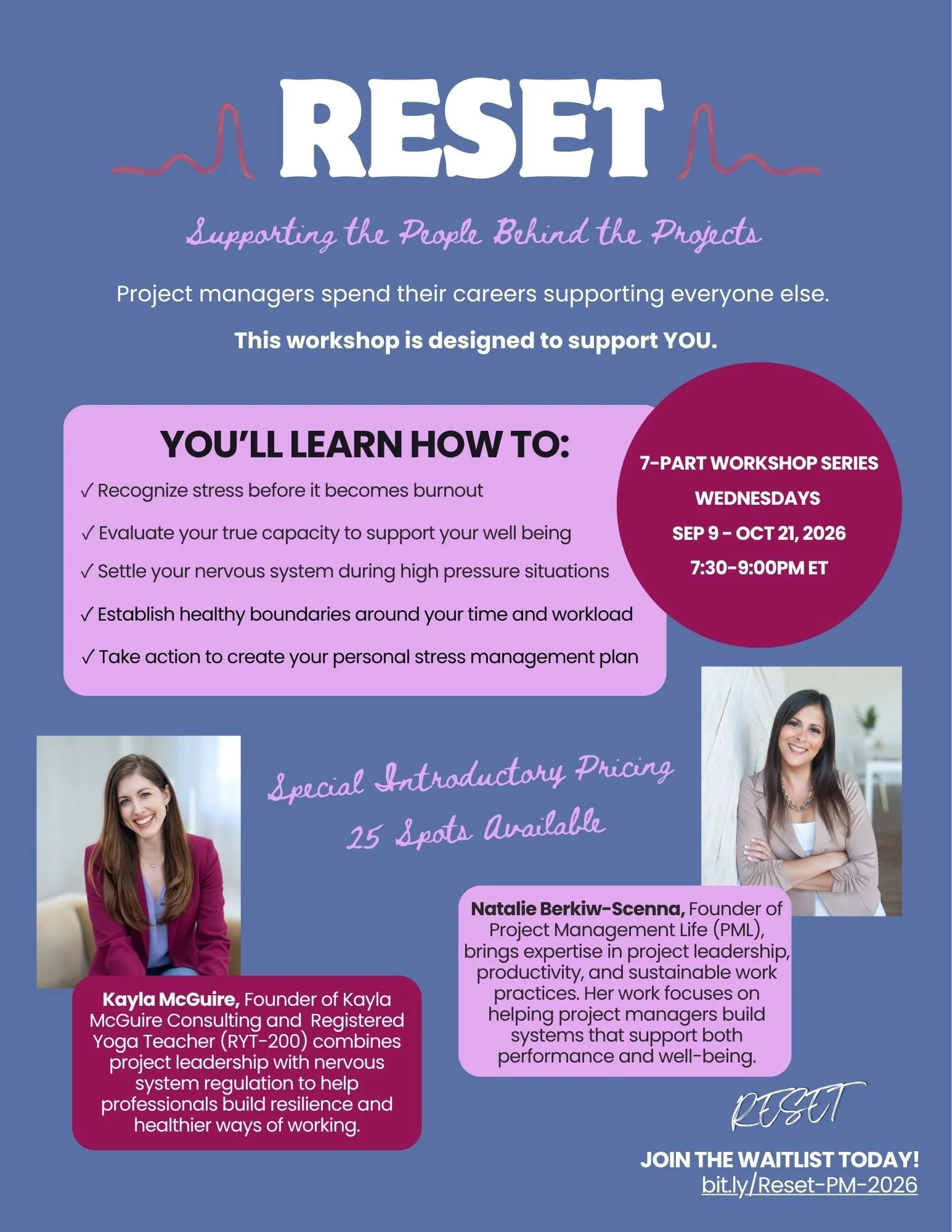 The Stress Resilient Project Manager