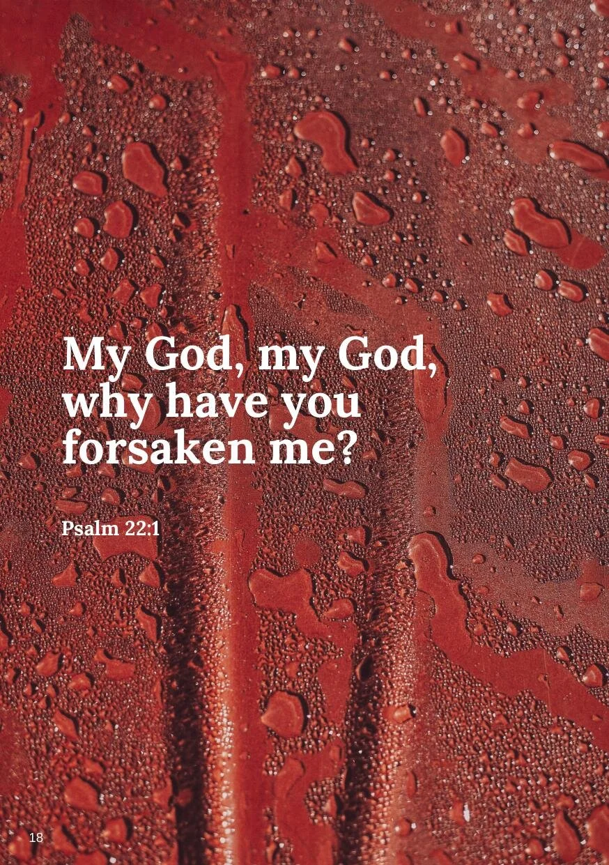 Woven5 Islandmagee Presbyterian Church woven5-islandmagee-presbyterian-church