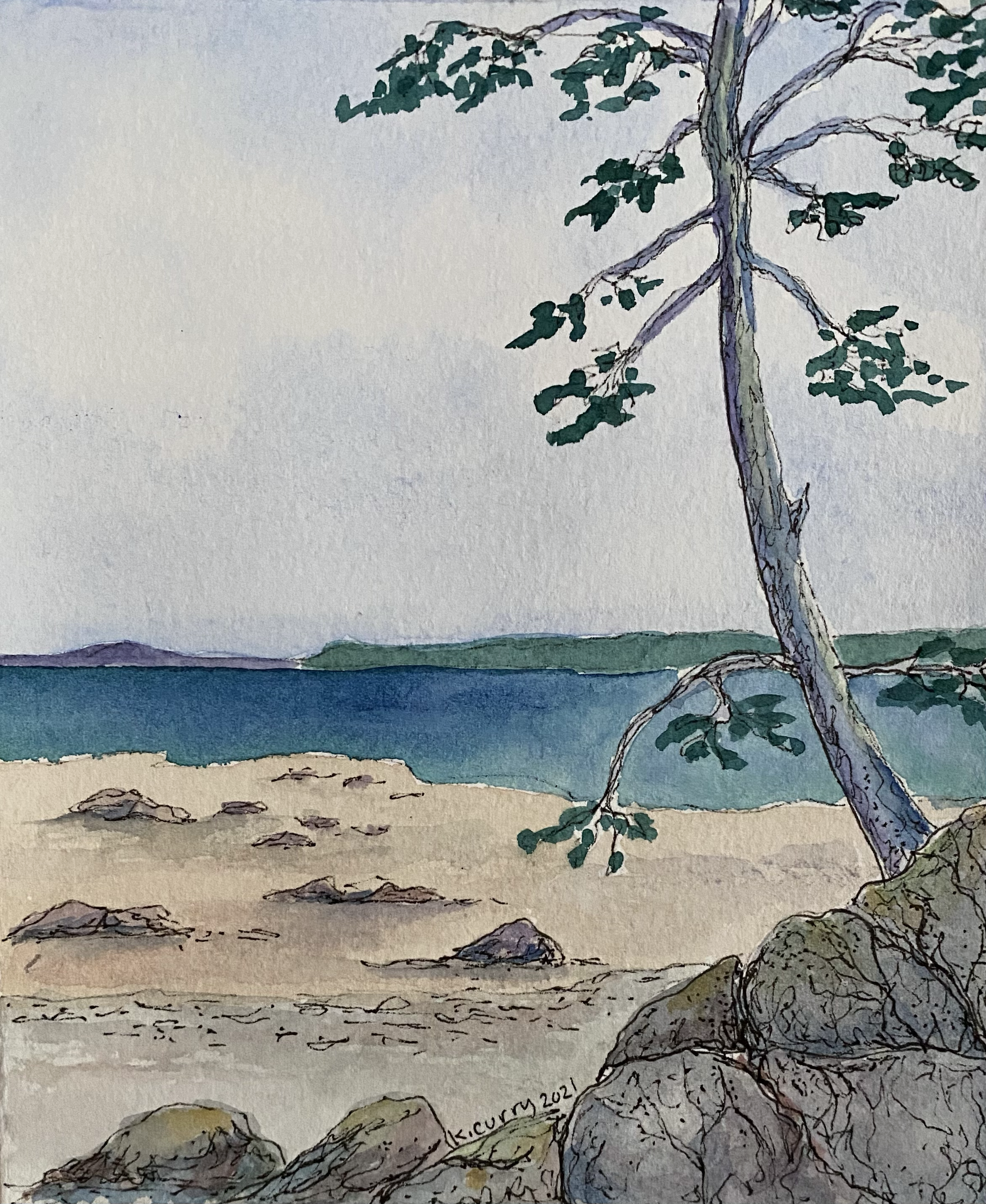 Title: Spruce as Sentry,
ink, watercolor on 140lb paper,
Unframed,
2021
5.25”W x 6.5”H