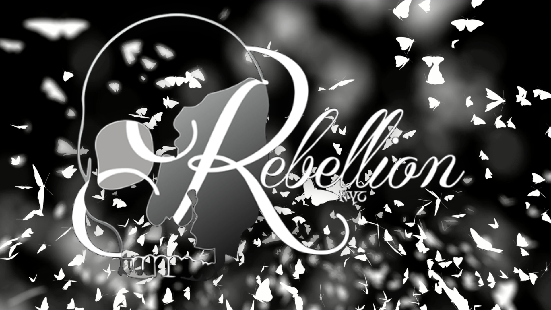 Spring Summer 2022 bg.png