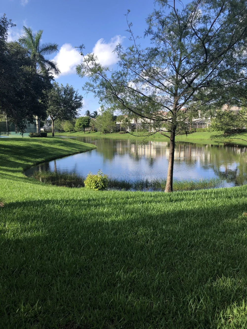 FAQs 1 — CATALINA LAKES HOA