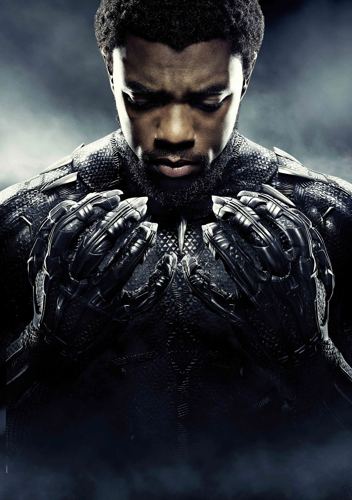 black-pantherr.jpg
