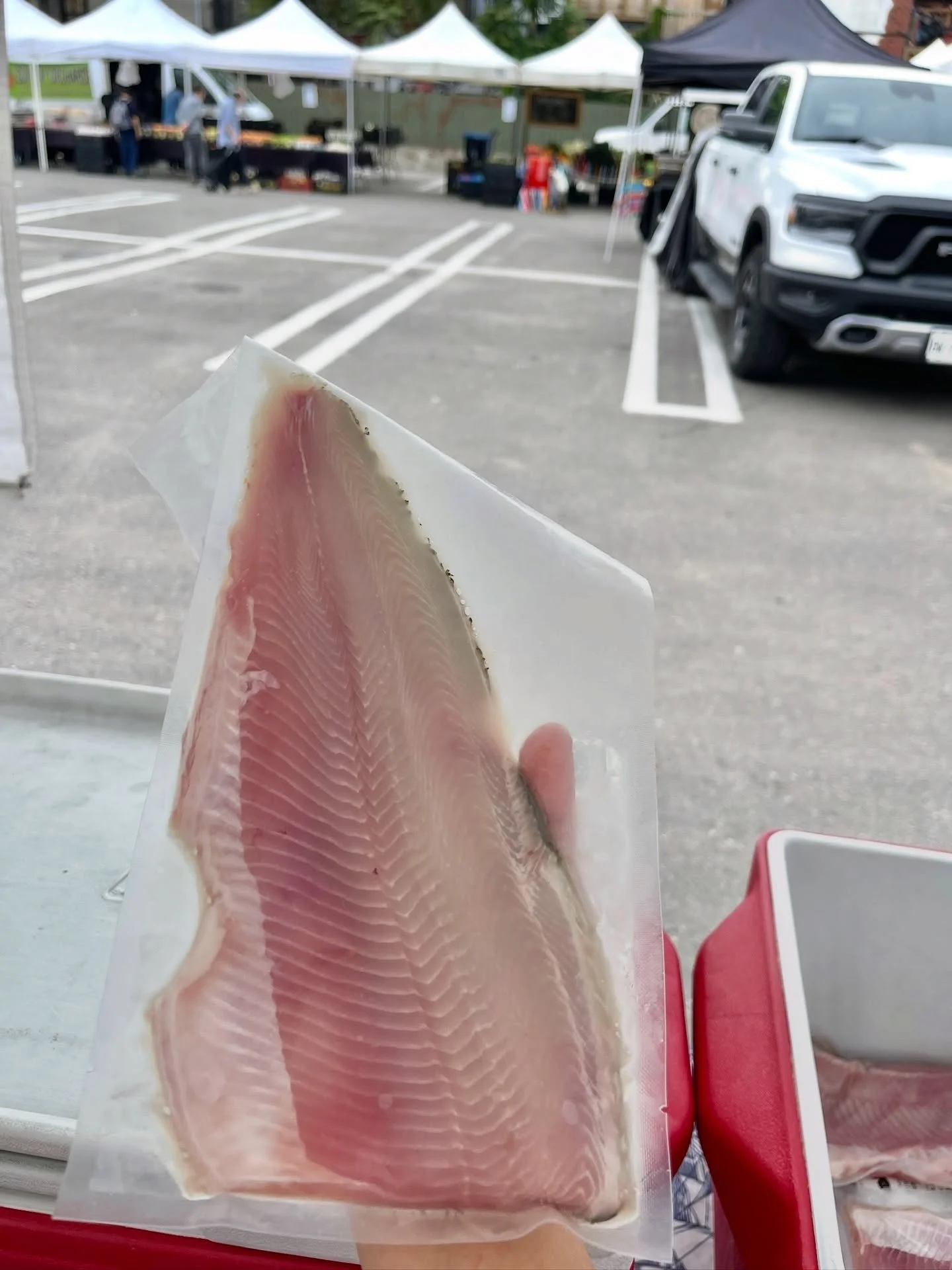Hey folks! We'll be at @bloorbordenmarket today from 3-7PM! Keep reading to see what we're serving fresh in-store and at markets this week! 

Fresh Fish for this week 🐟 
Ont Whitefish
Ont Lake Trout
Ont Rainbow trout 
Ont Smoked trout 

@fisherfolkt