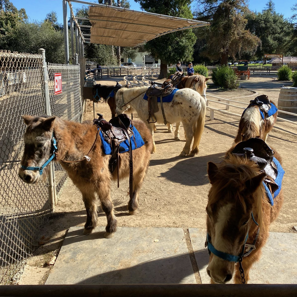 Griffith park pony ride.png
