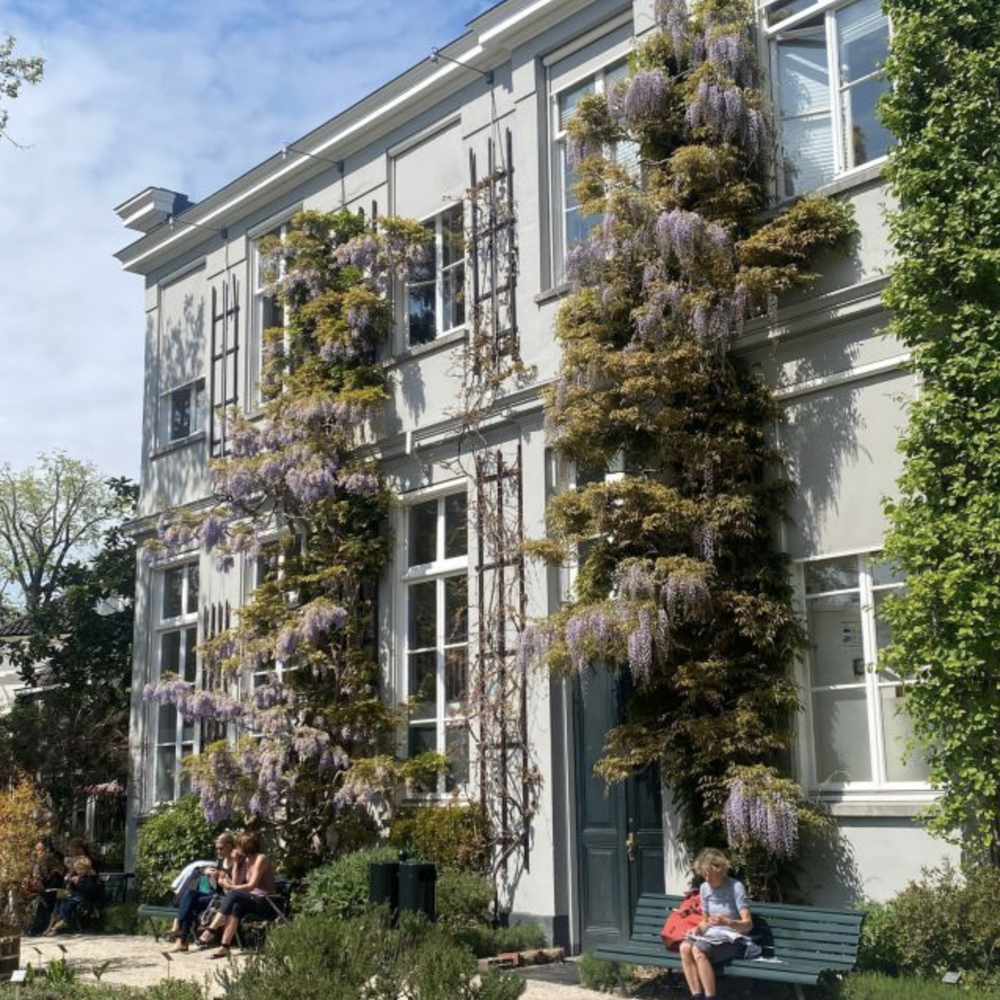 Jardin Botanique