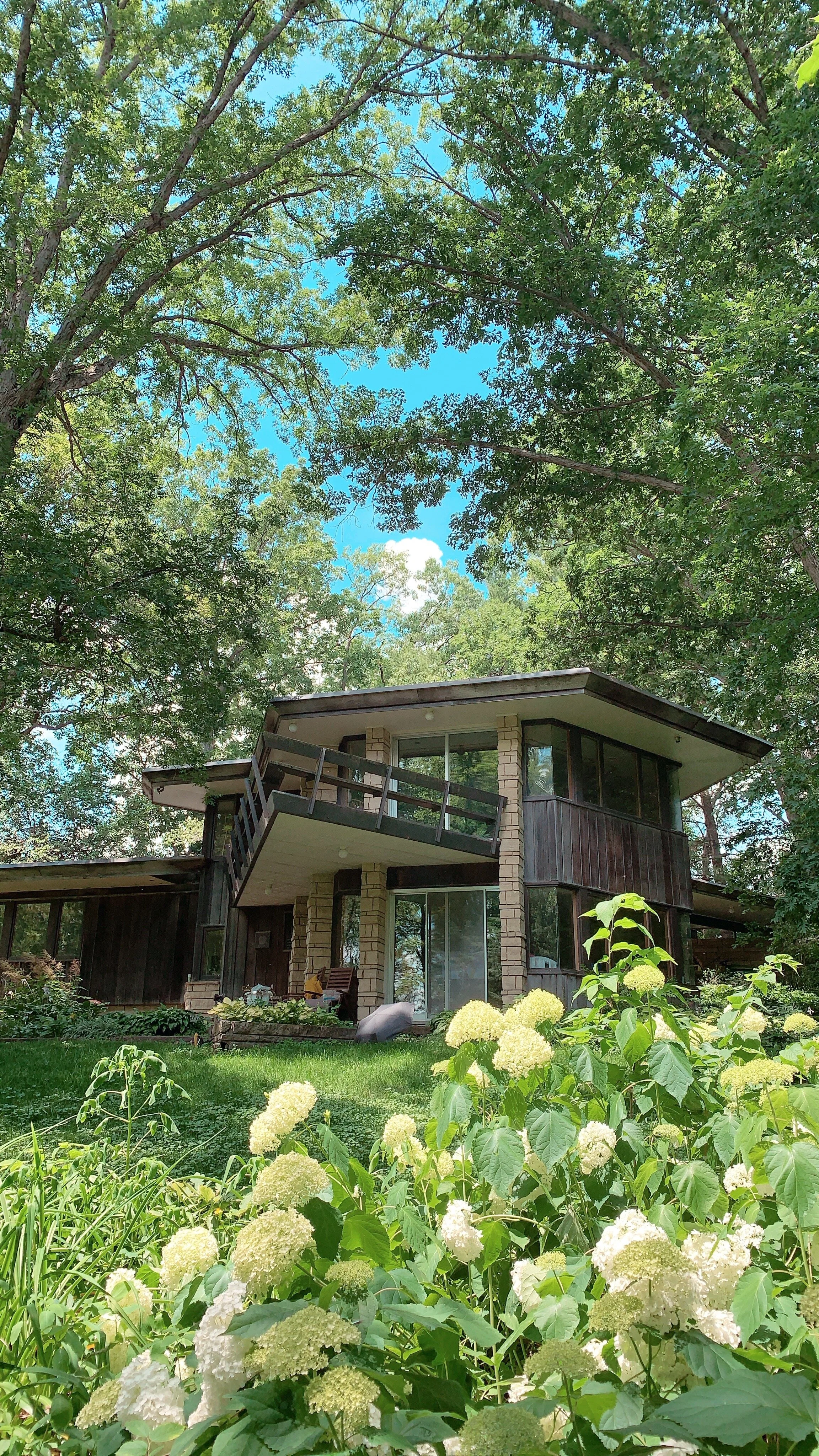 851FC666-98D1-4A50-972B-9BC116C16008 copy.JPG