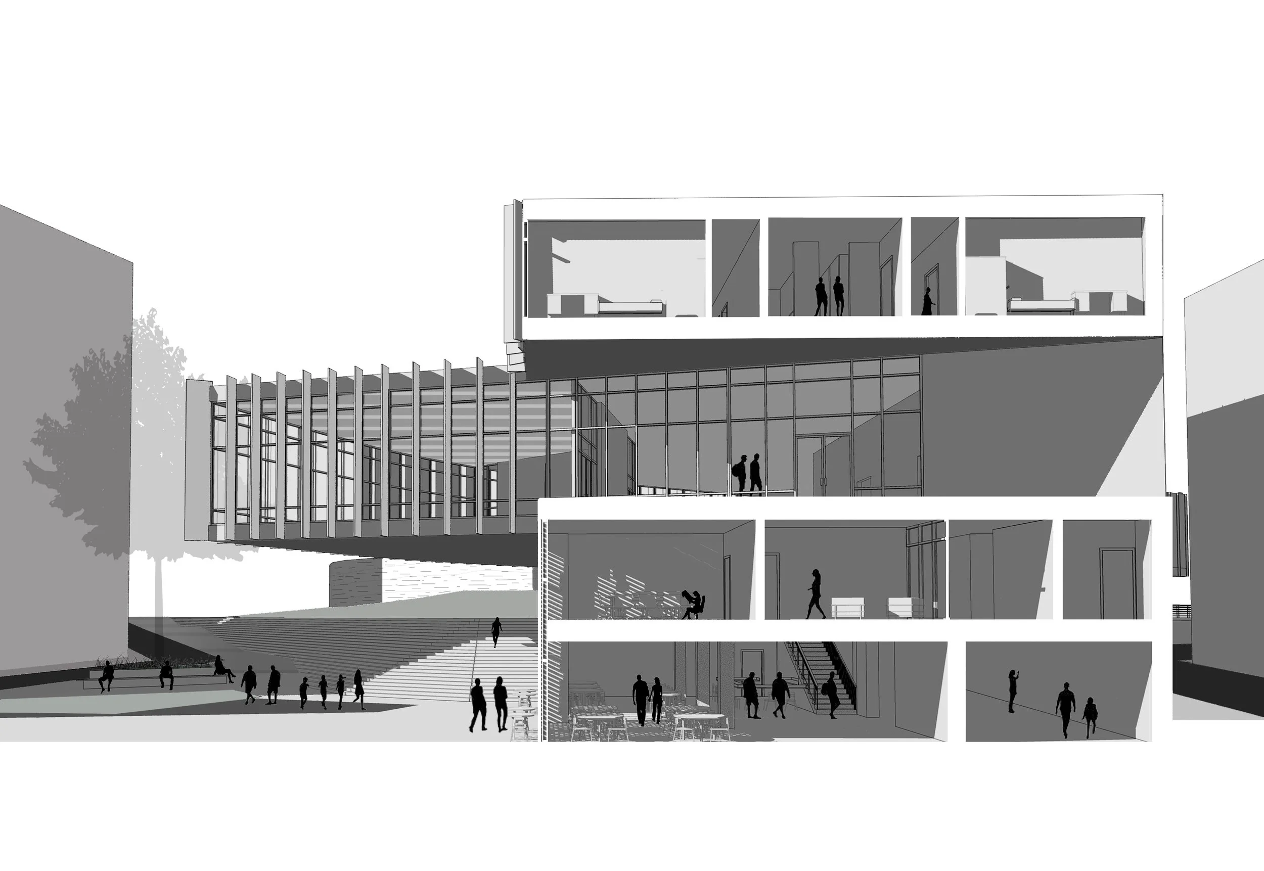 Perspective Section.jpg