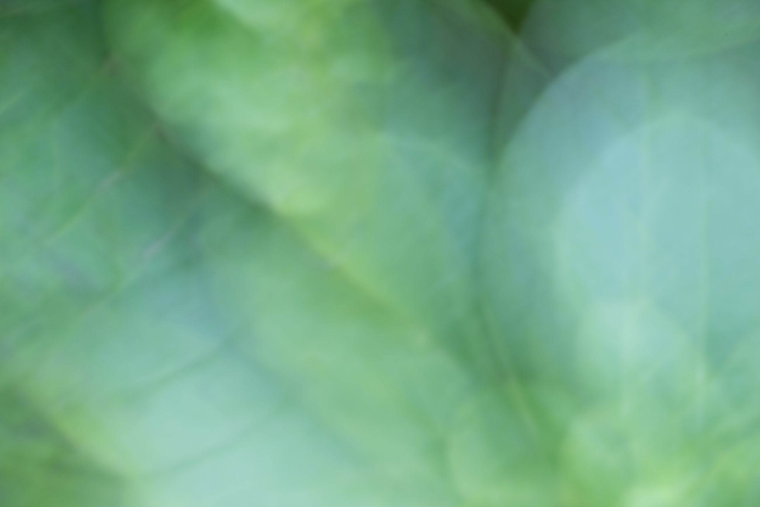 Leafy
