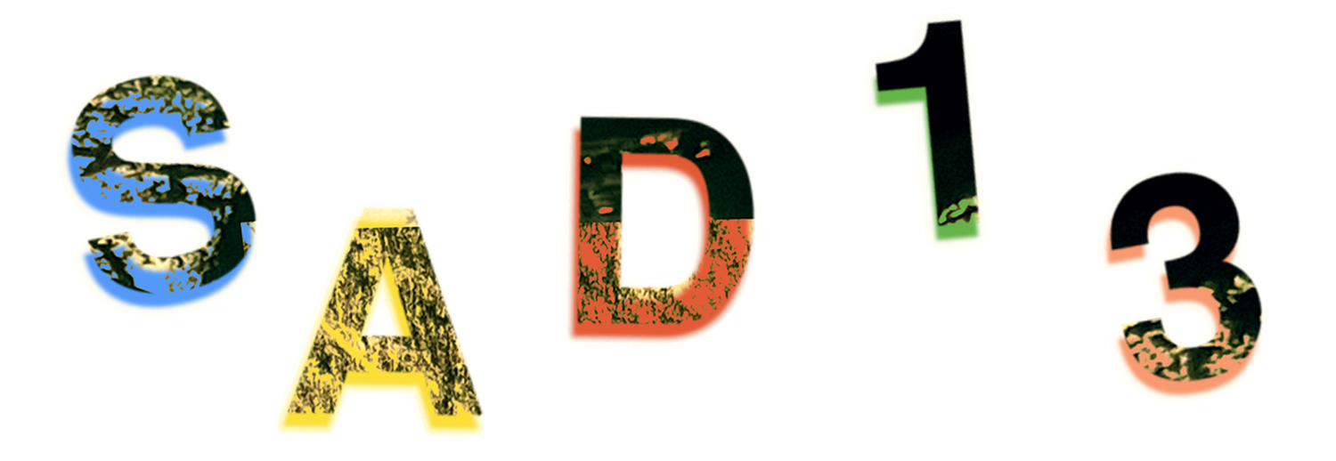 Sad13