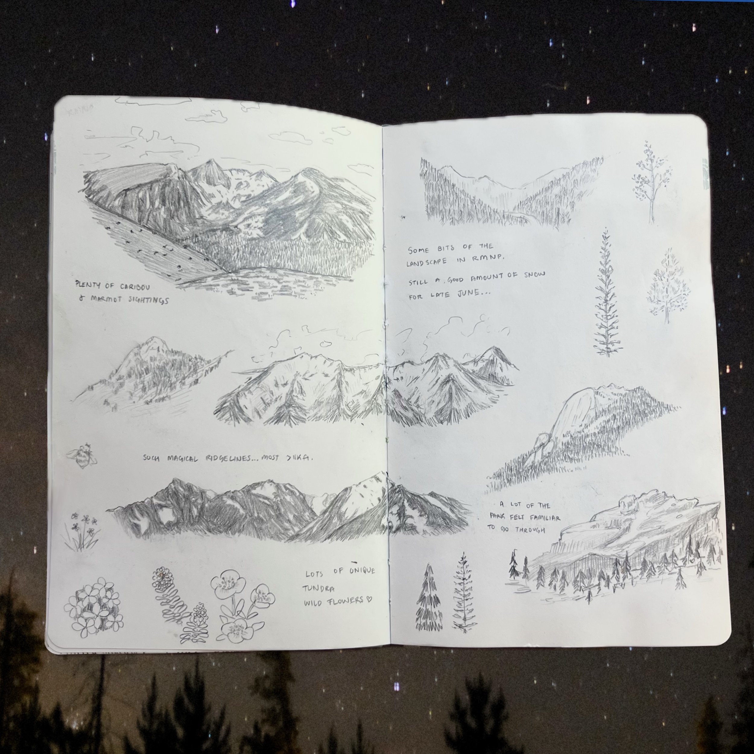 The Rockies