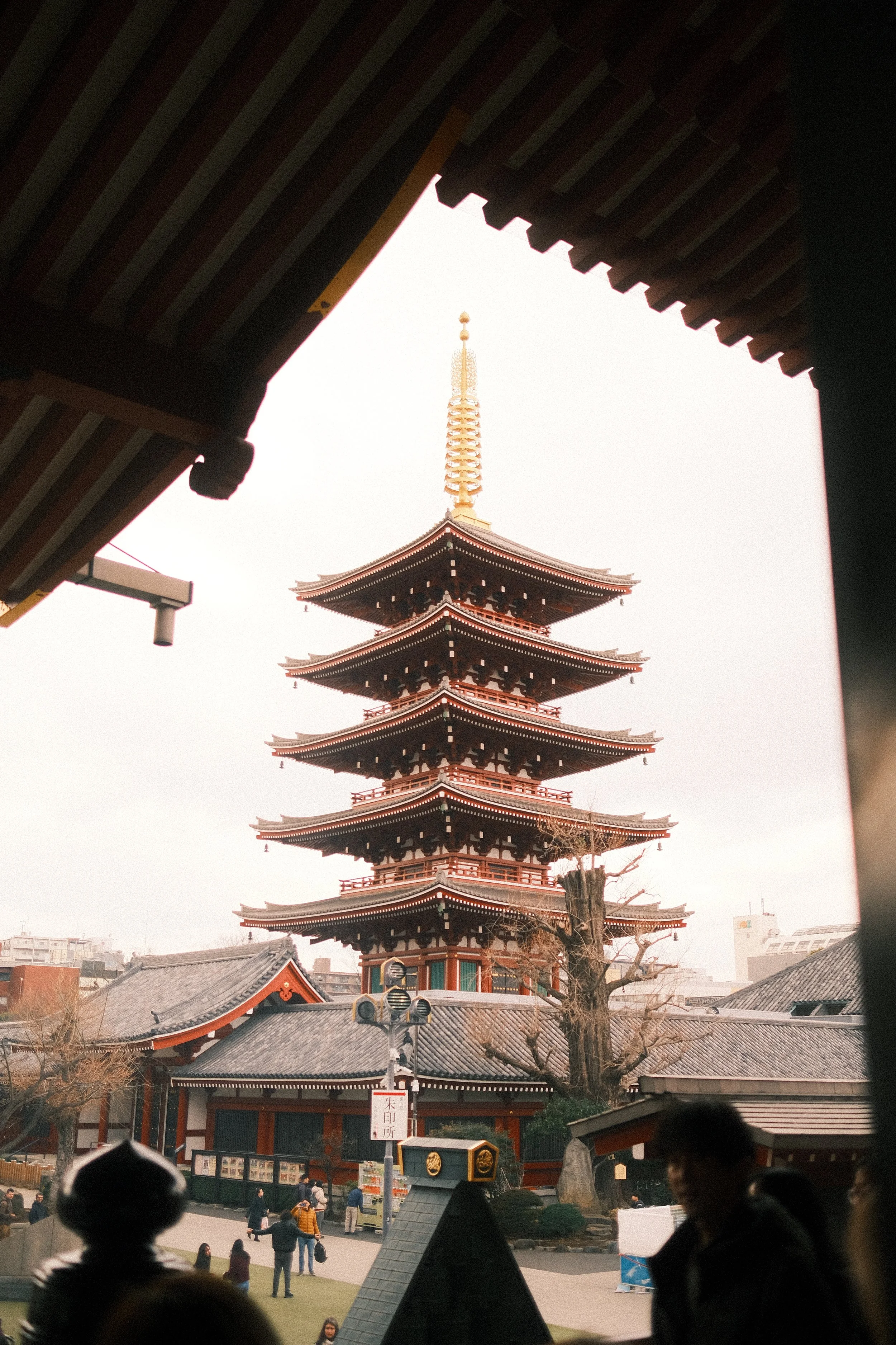 DSCF6539.JPG