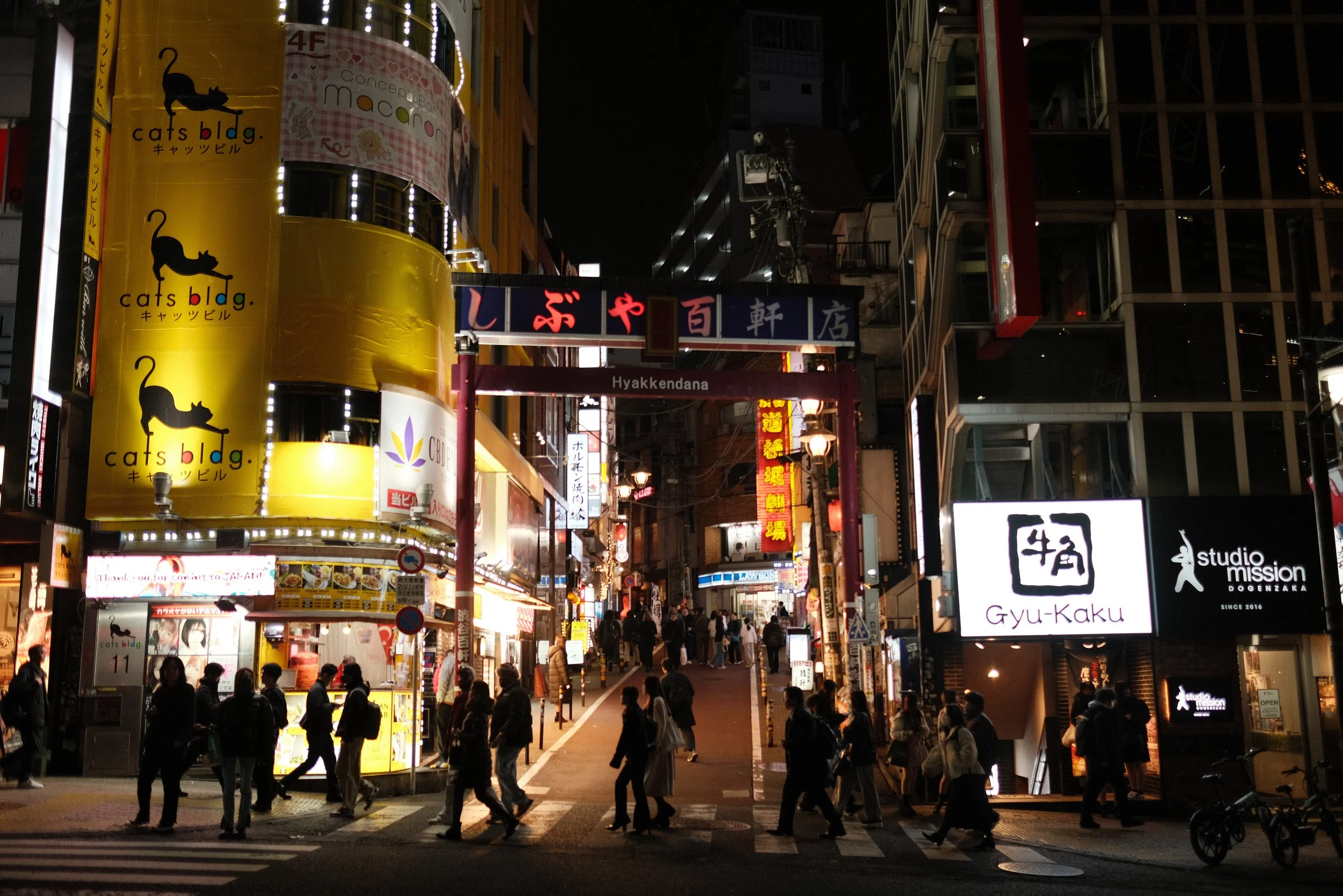 DSCF7154.JPG