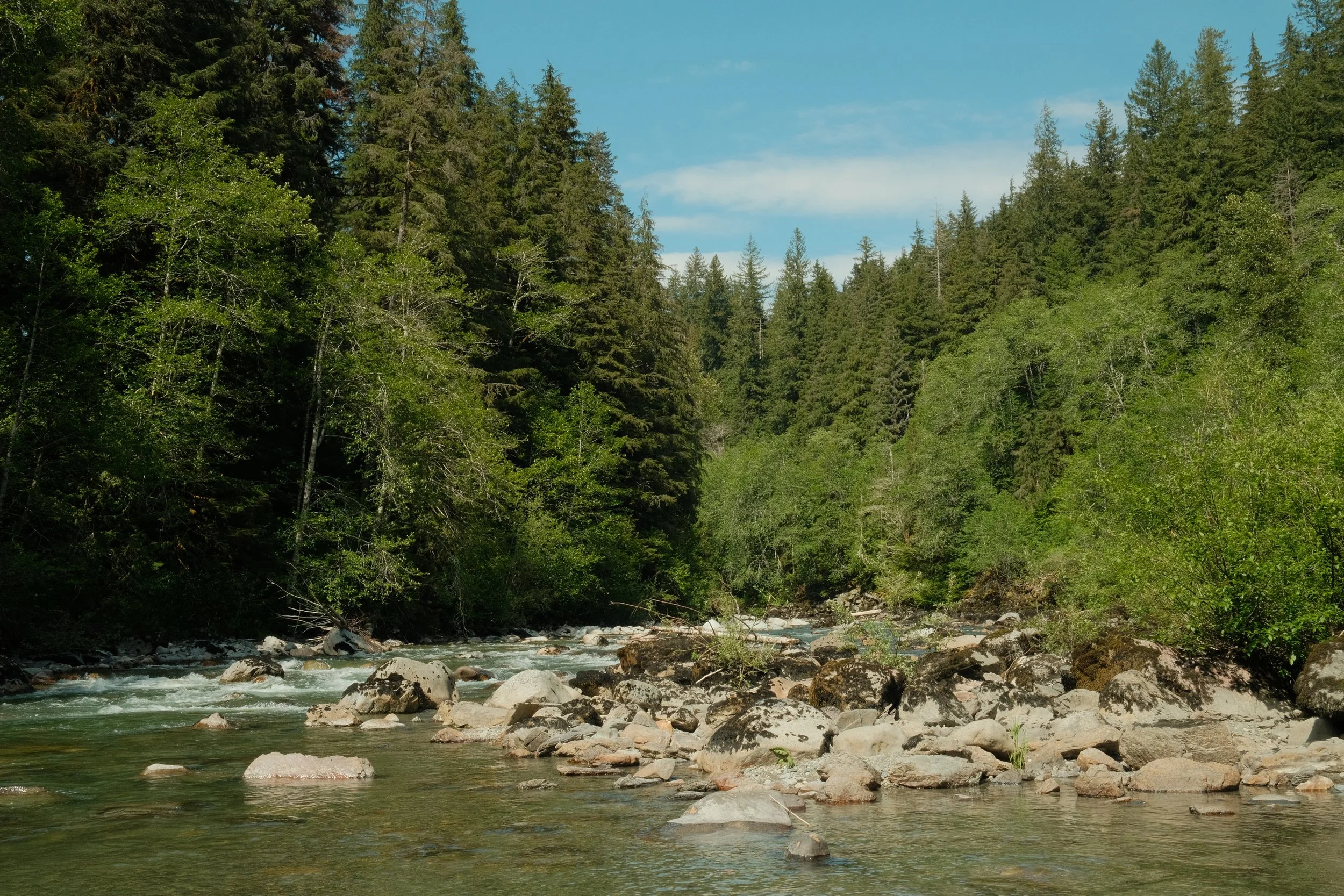 DSCF7234.JPG