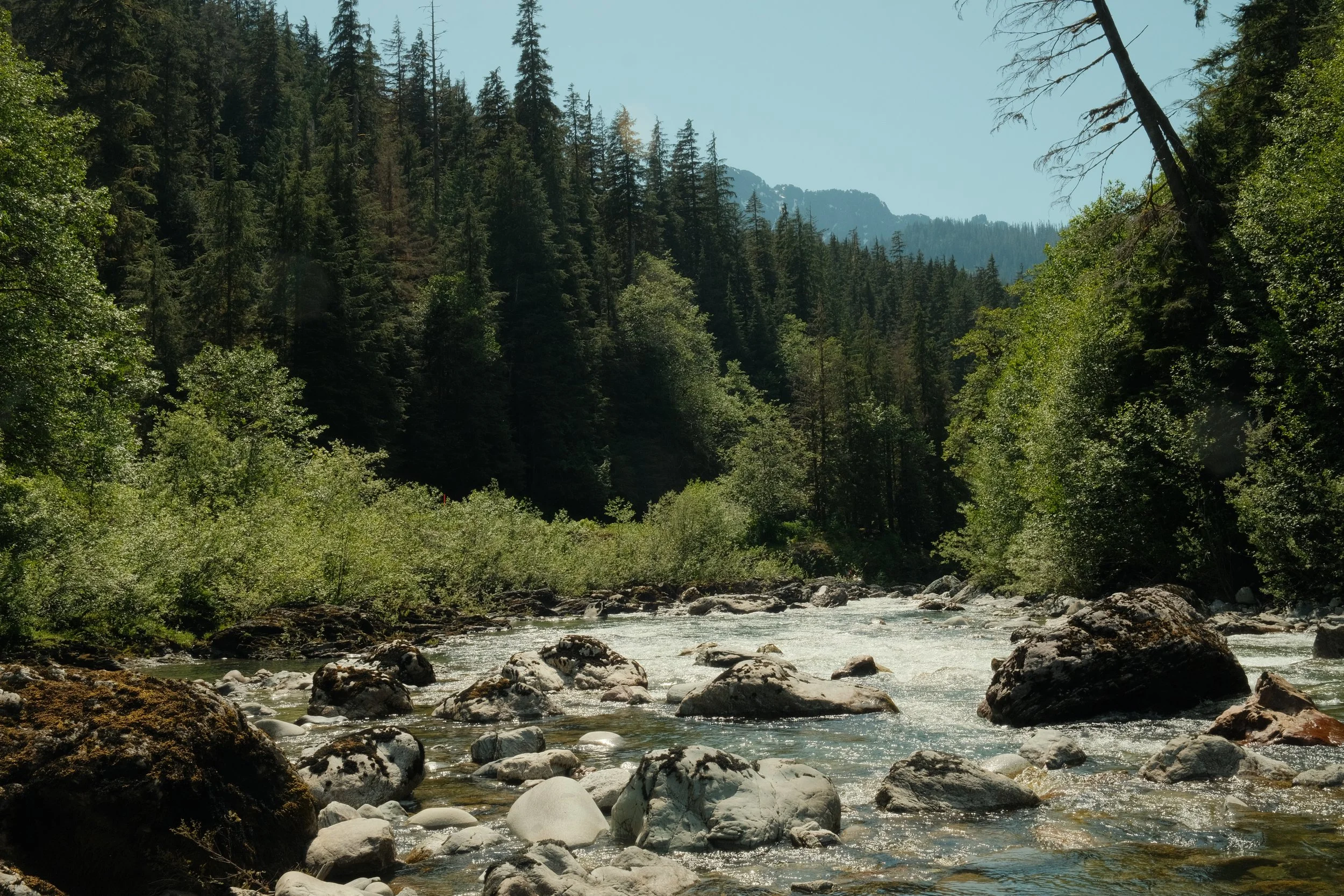 DSCF7237.JPG