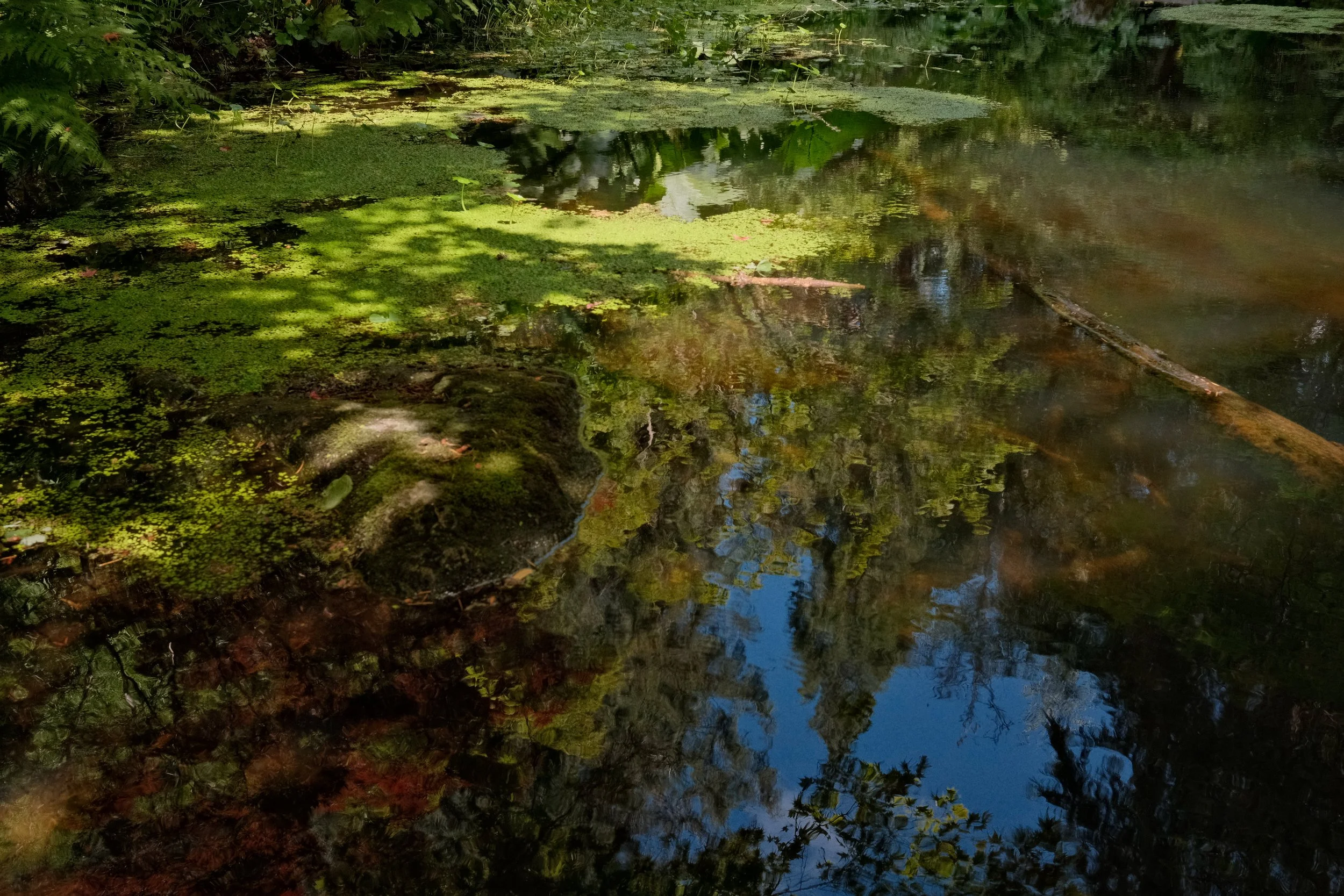 DSCF7311.JPG