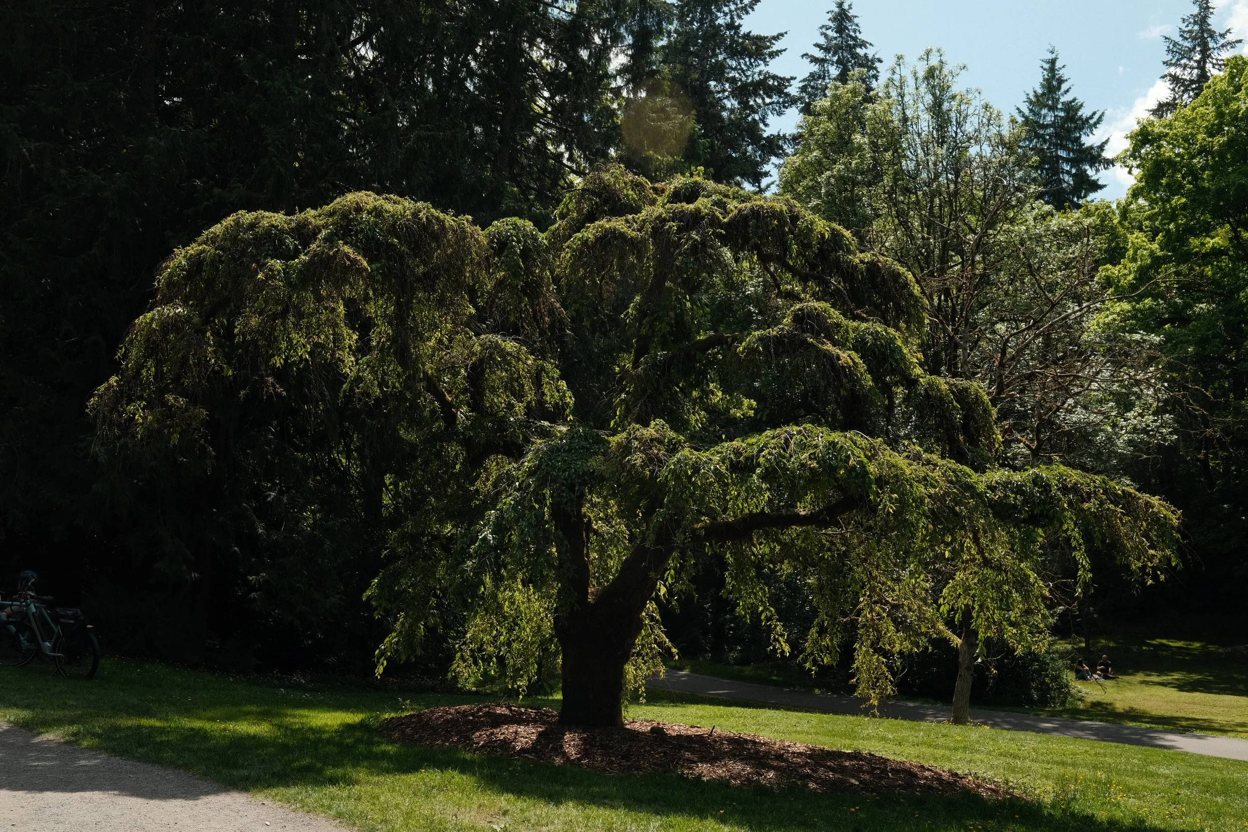 DSCF7317.JPG