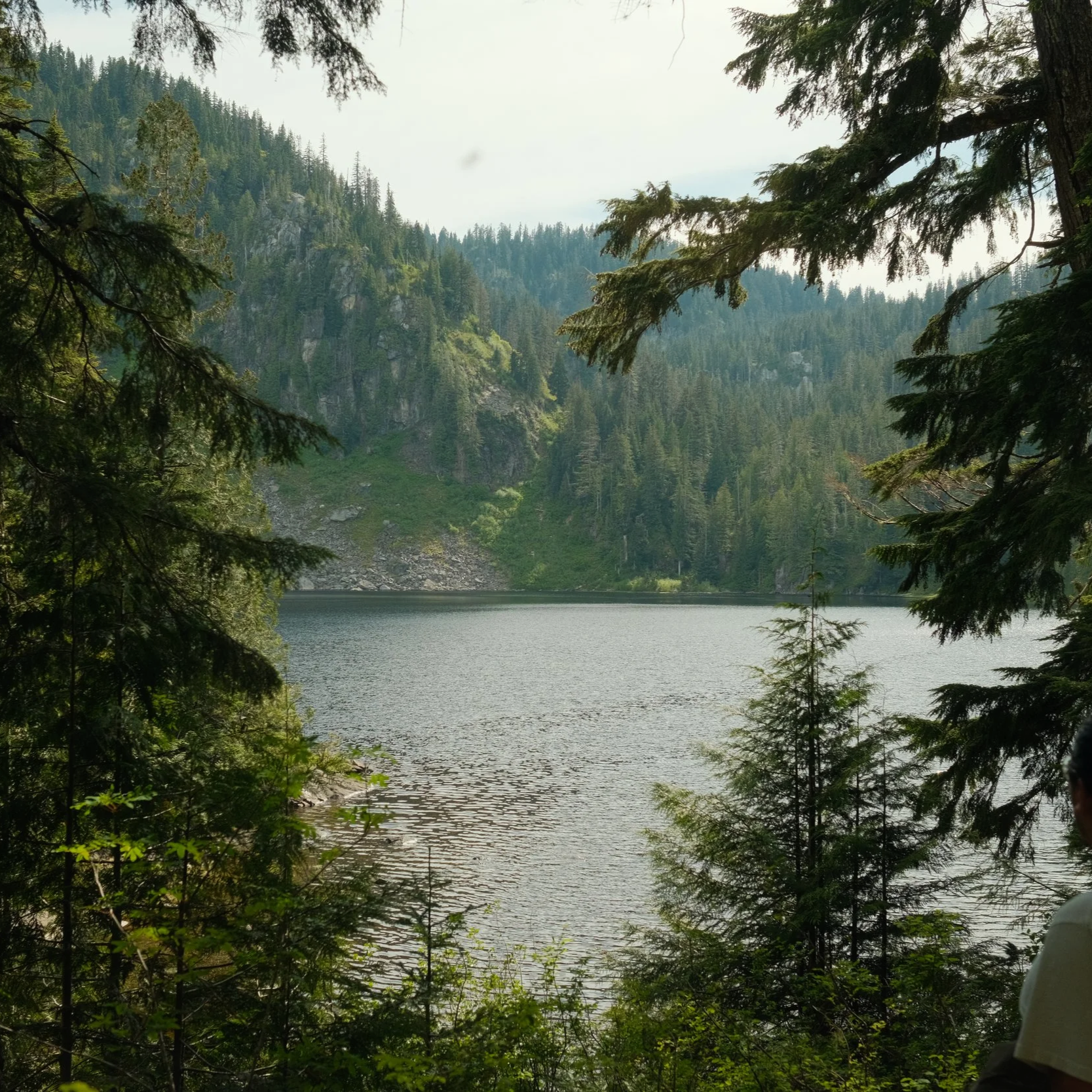 Seattle Dump
