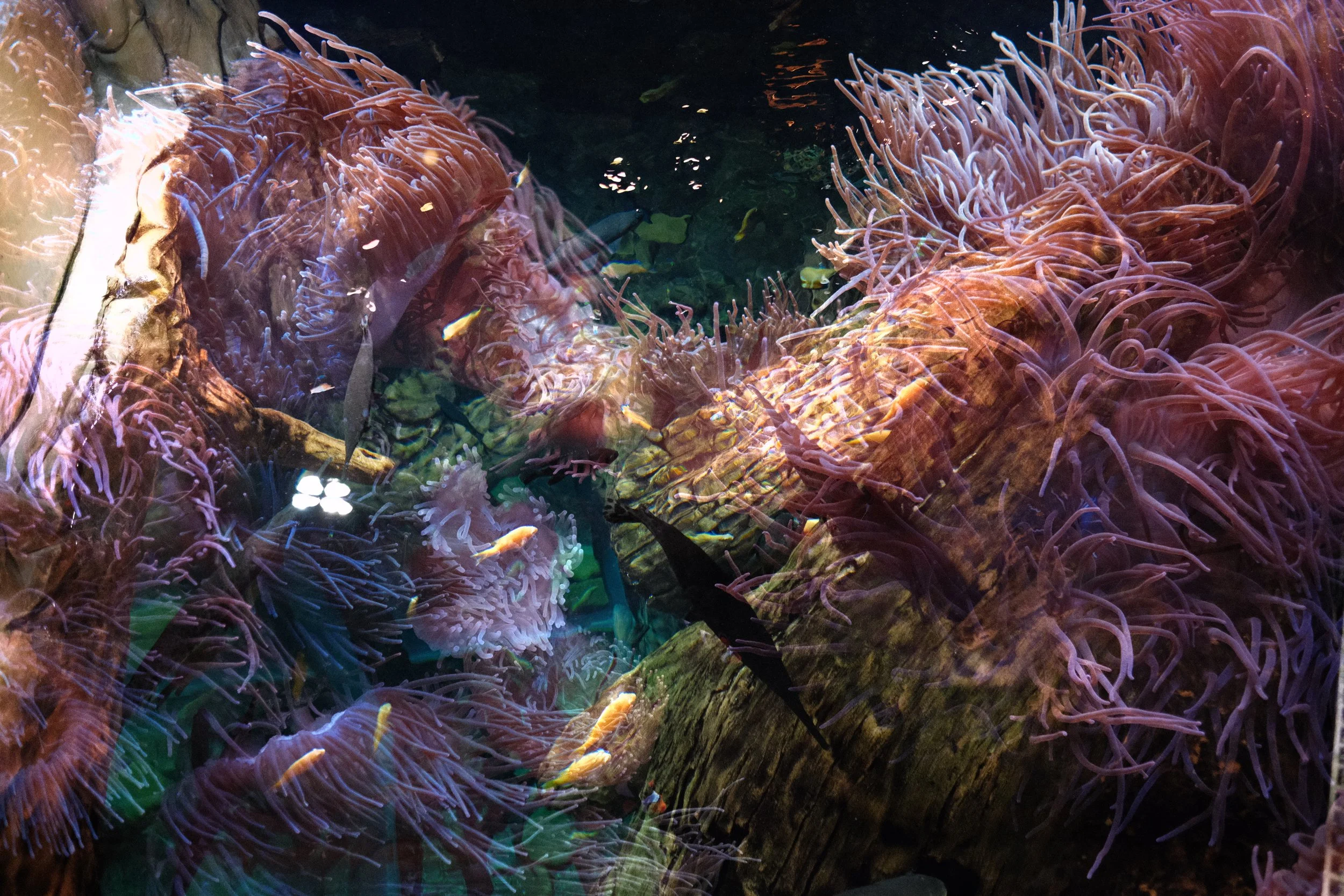 DSCF6178.JPG