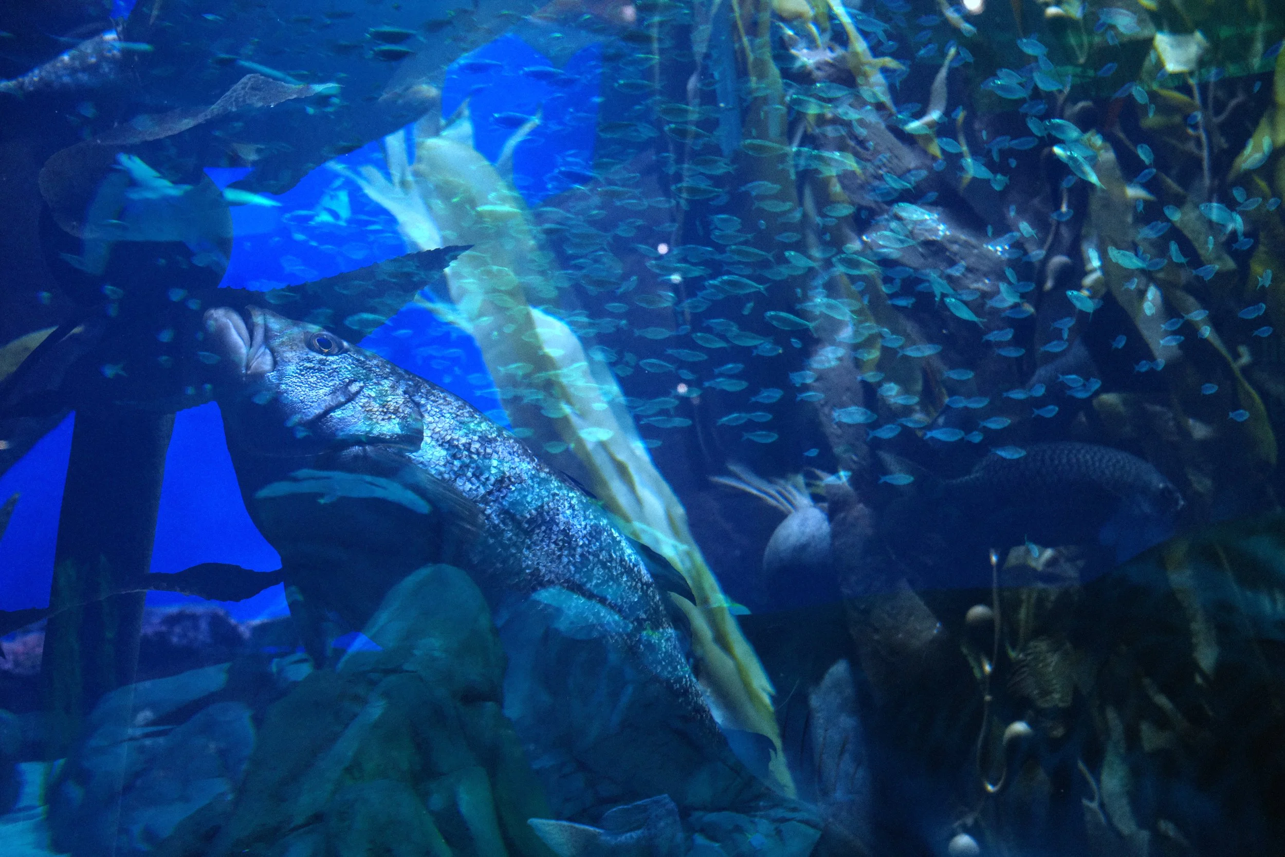 DSCF6214.JPG