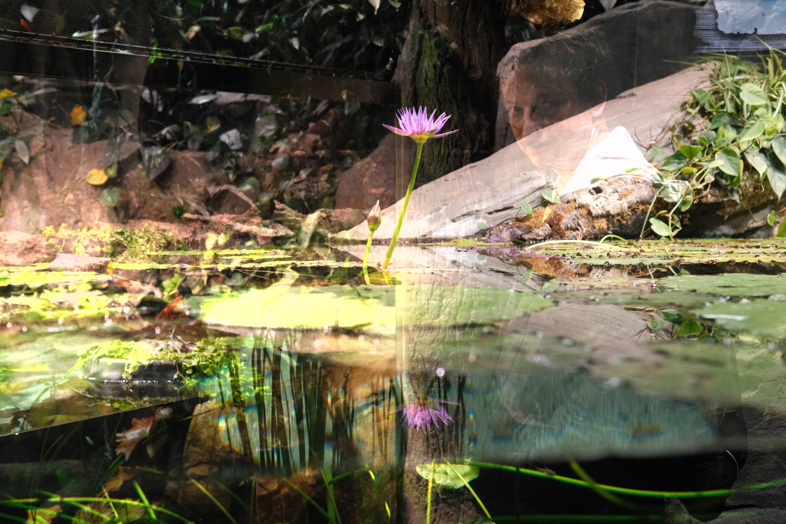DSCF6156.JPG