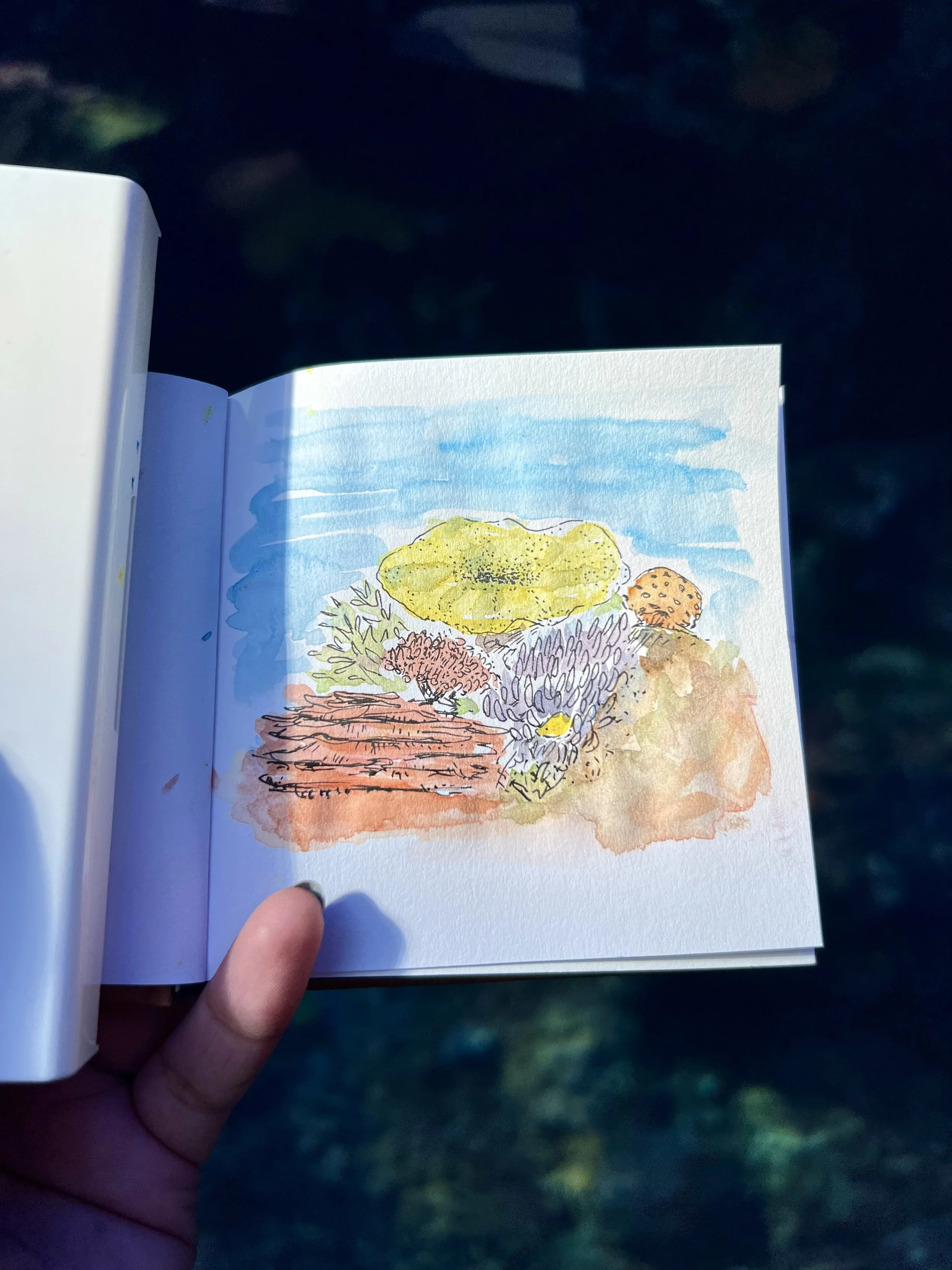 GA Aquarium
