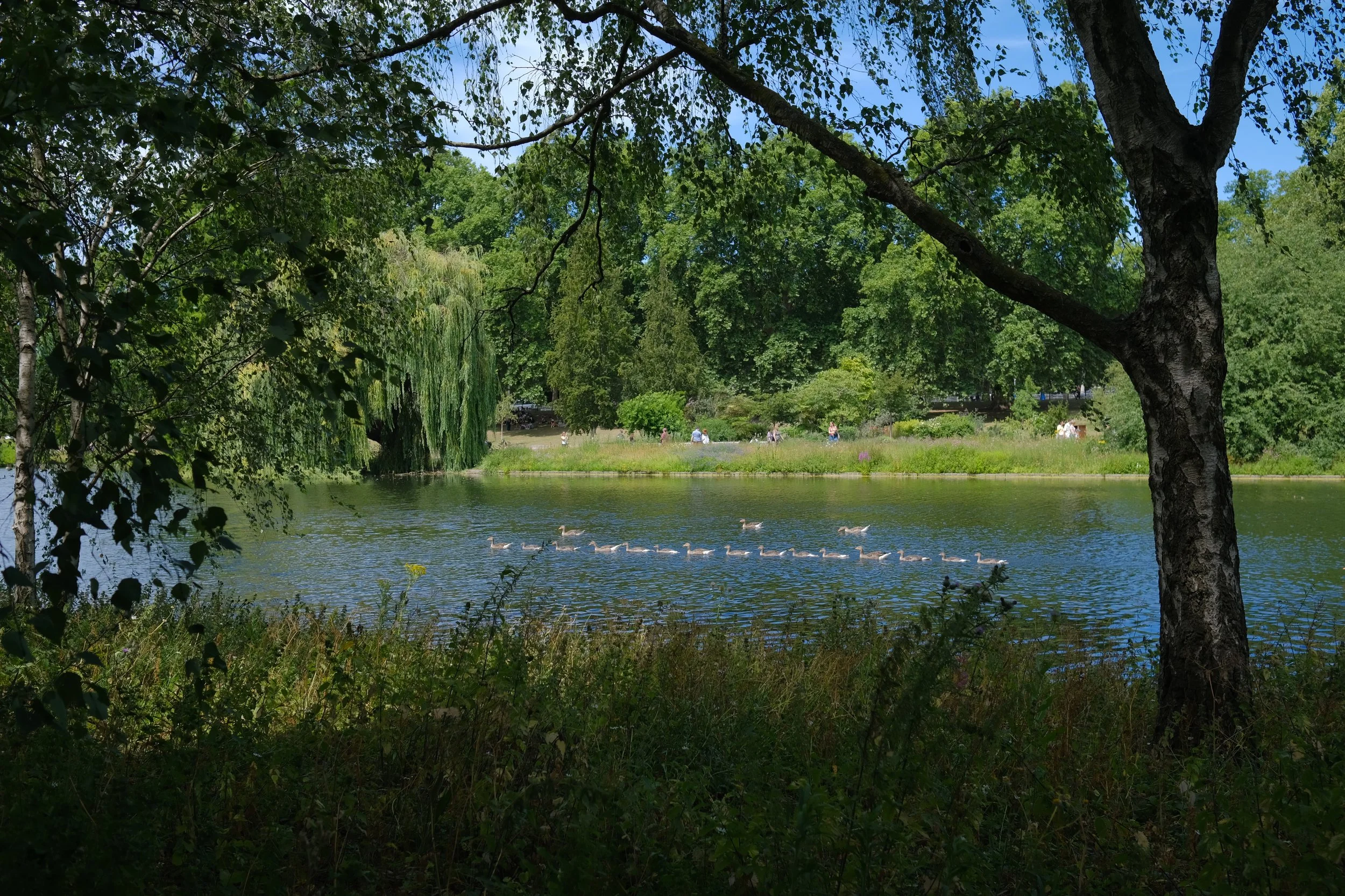 DSCF7458.JPG