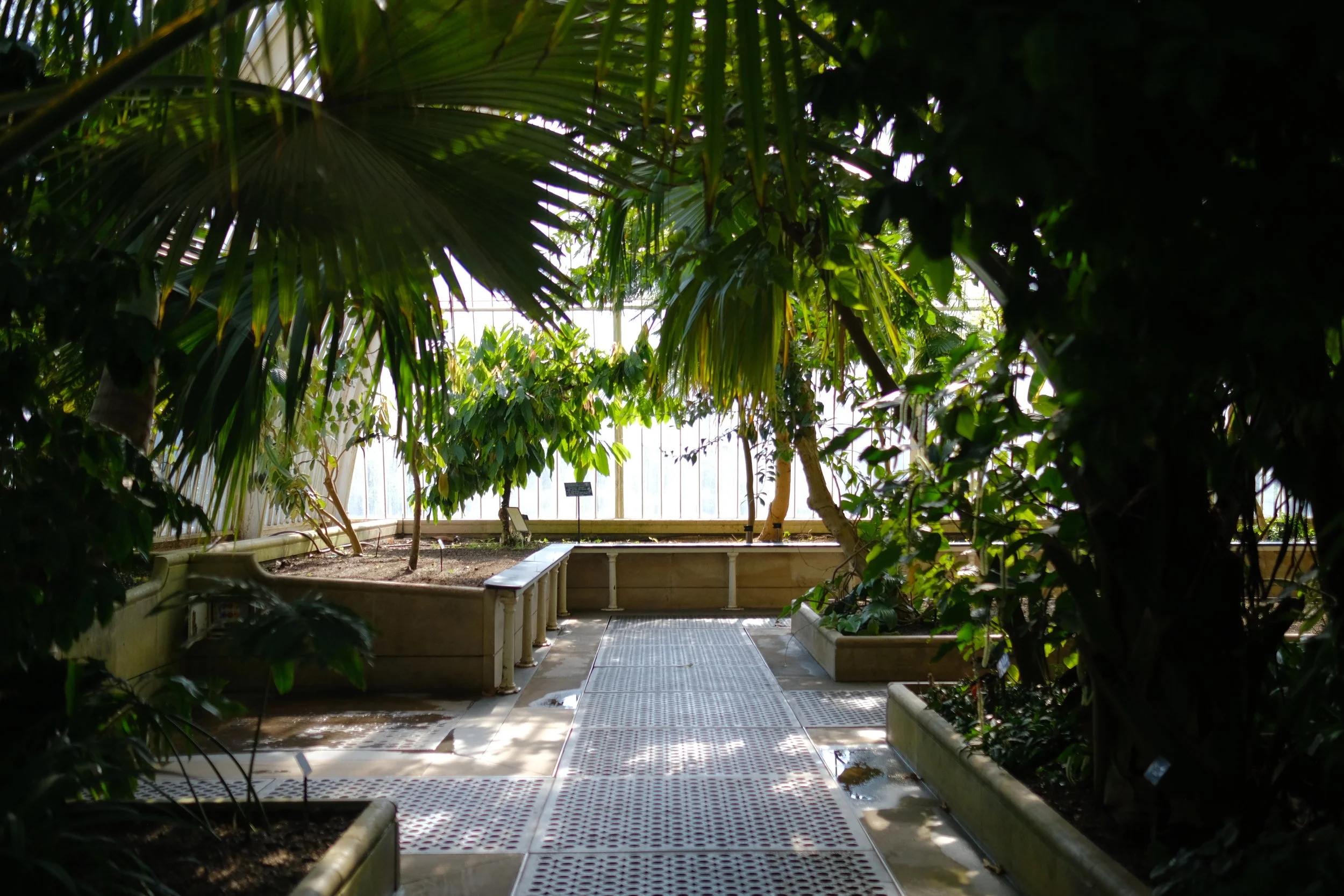 DSCF7519.JPG