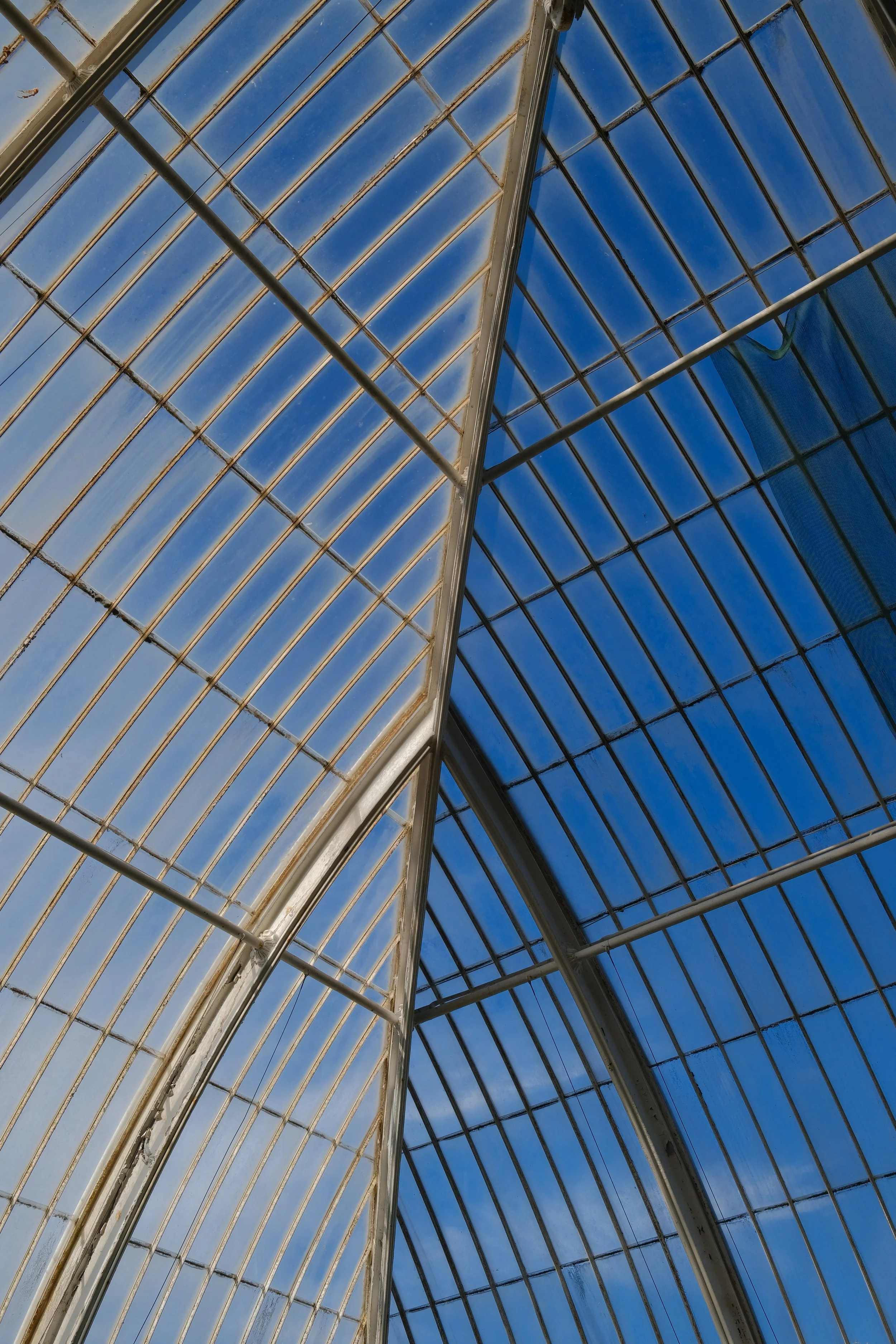 DSCF7522.JPG