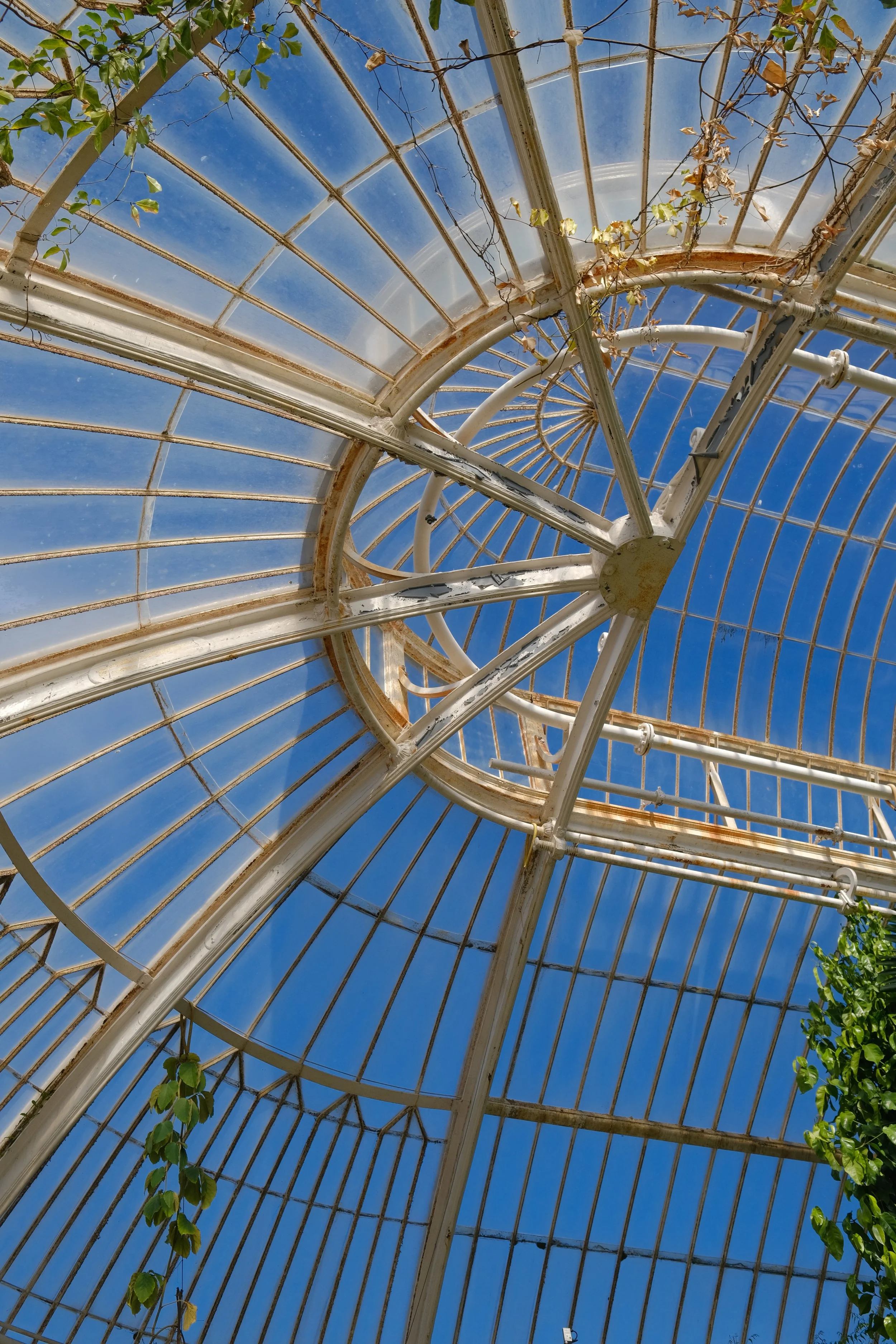 DSCF7537.JPG