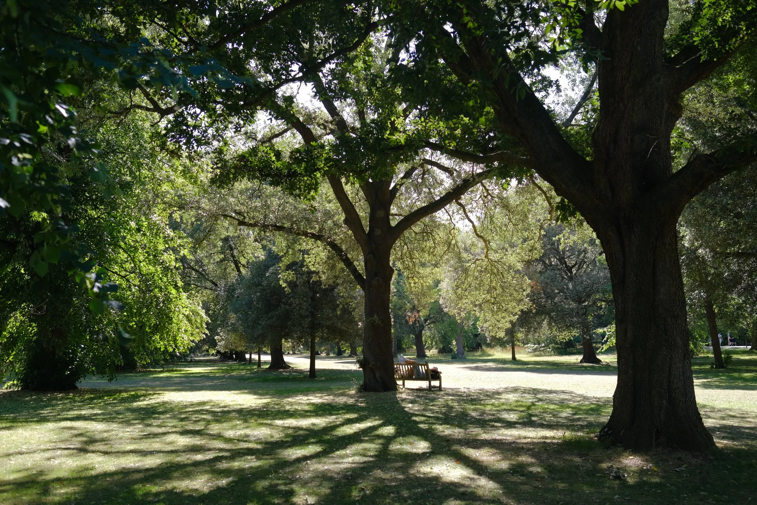 DSCF7551.JPG