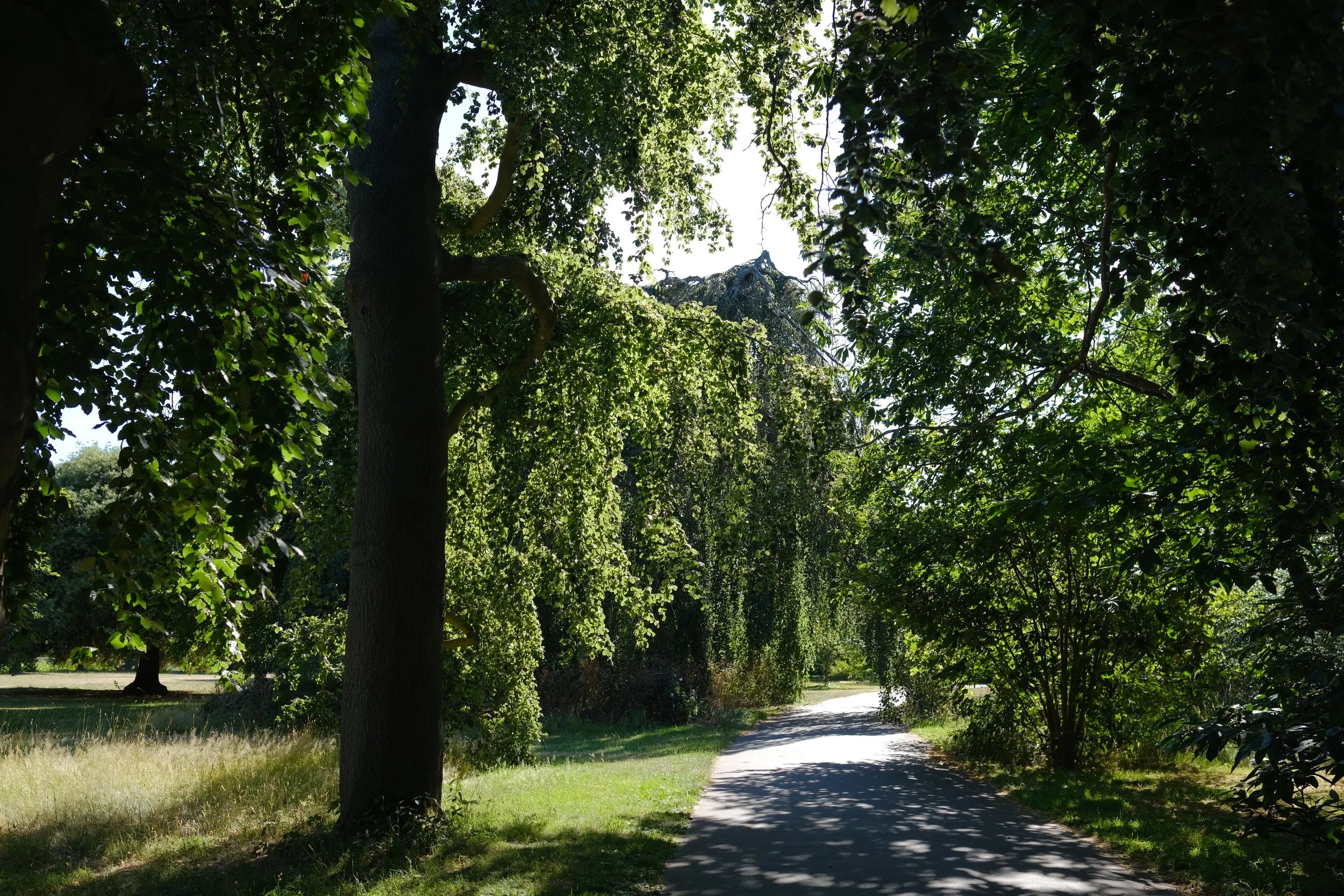 DSCF7555.JPG