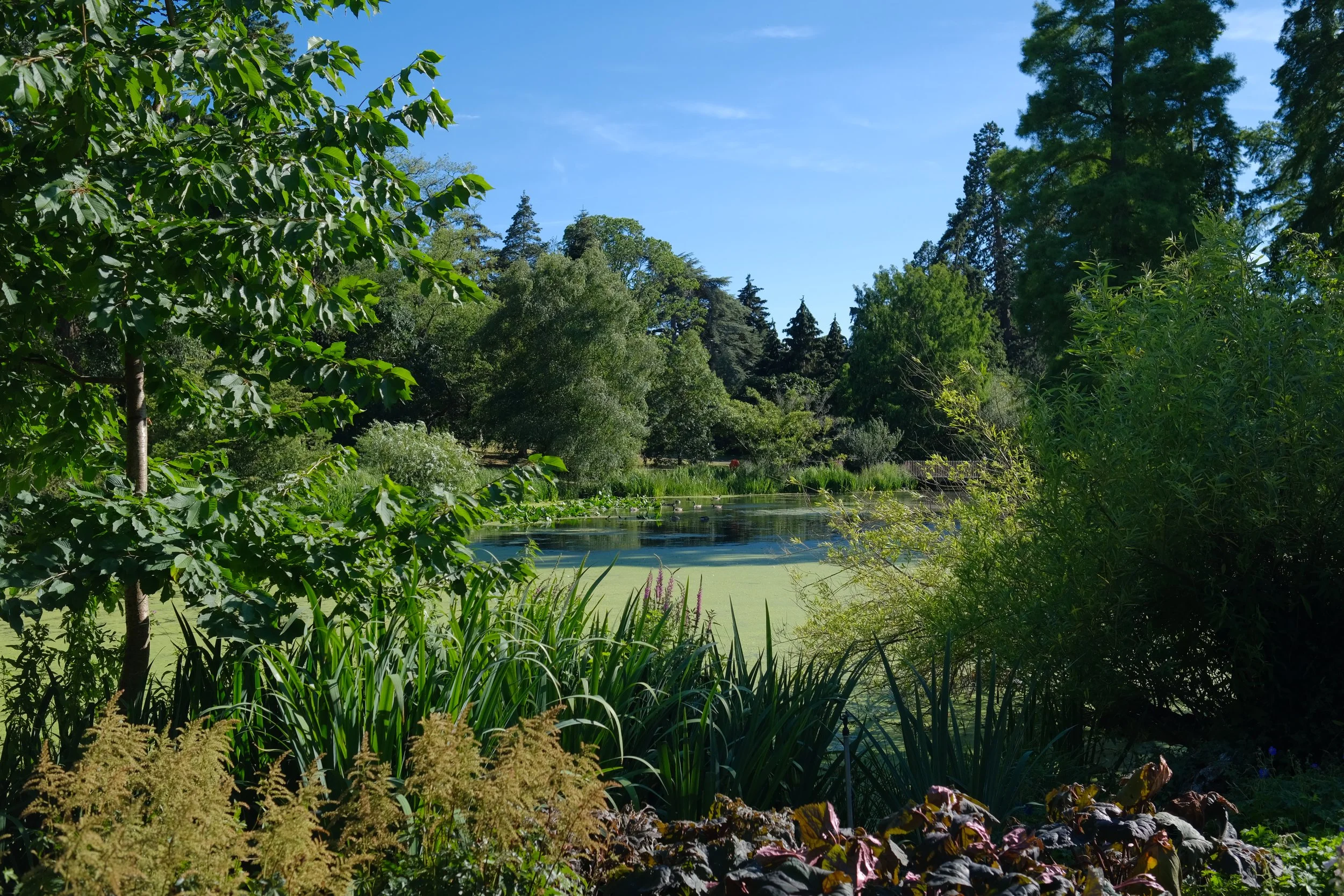 DSCF7557.JPG