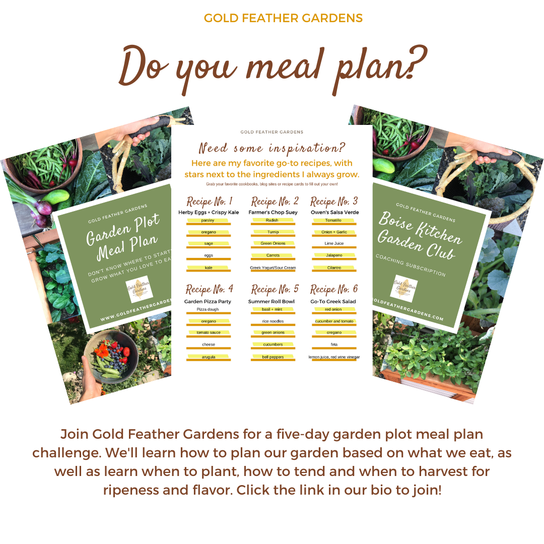 Do you meal plan_ (1).png