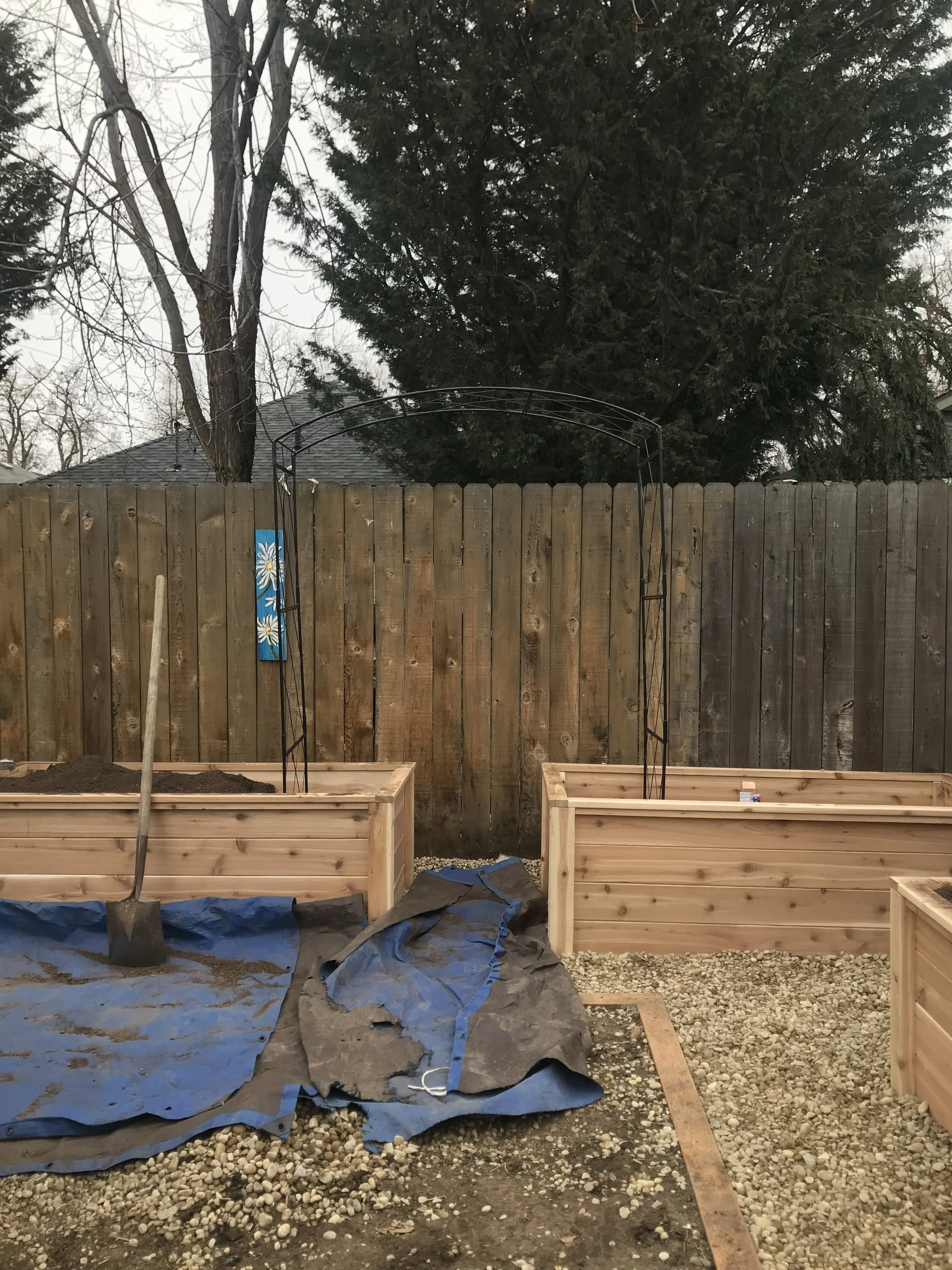 Trellis 1 of 4 going in