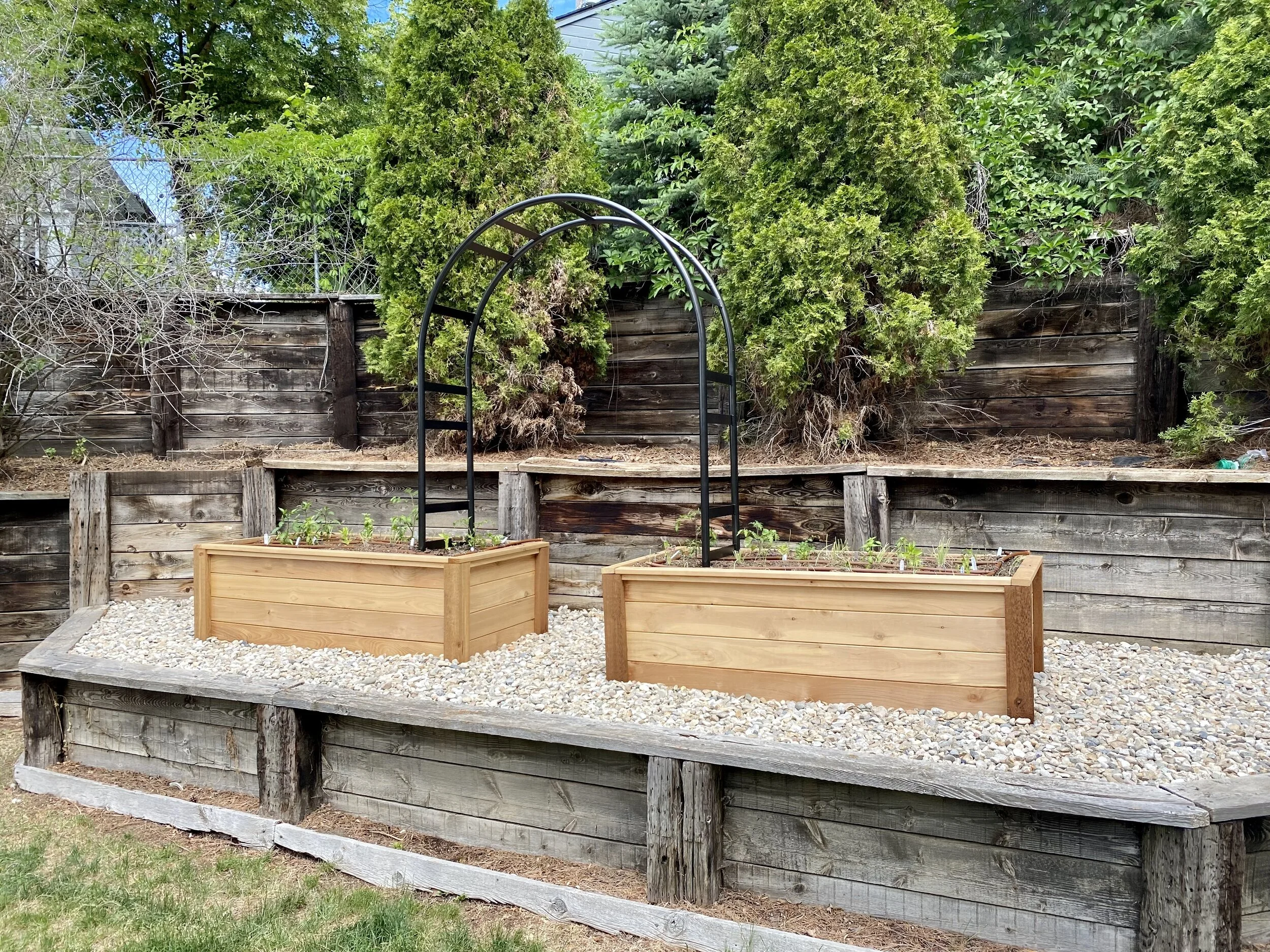 After Trellis.JPG