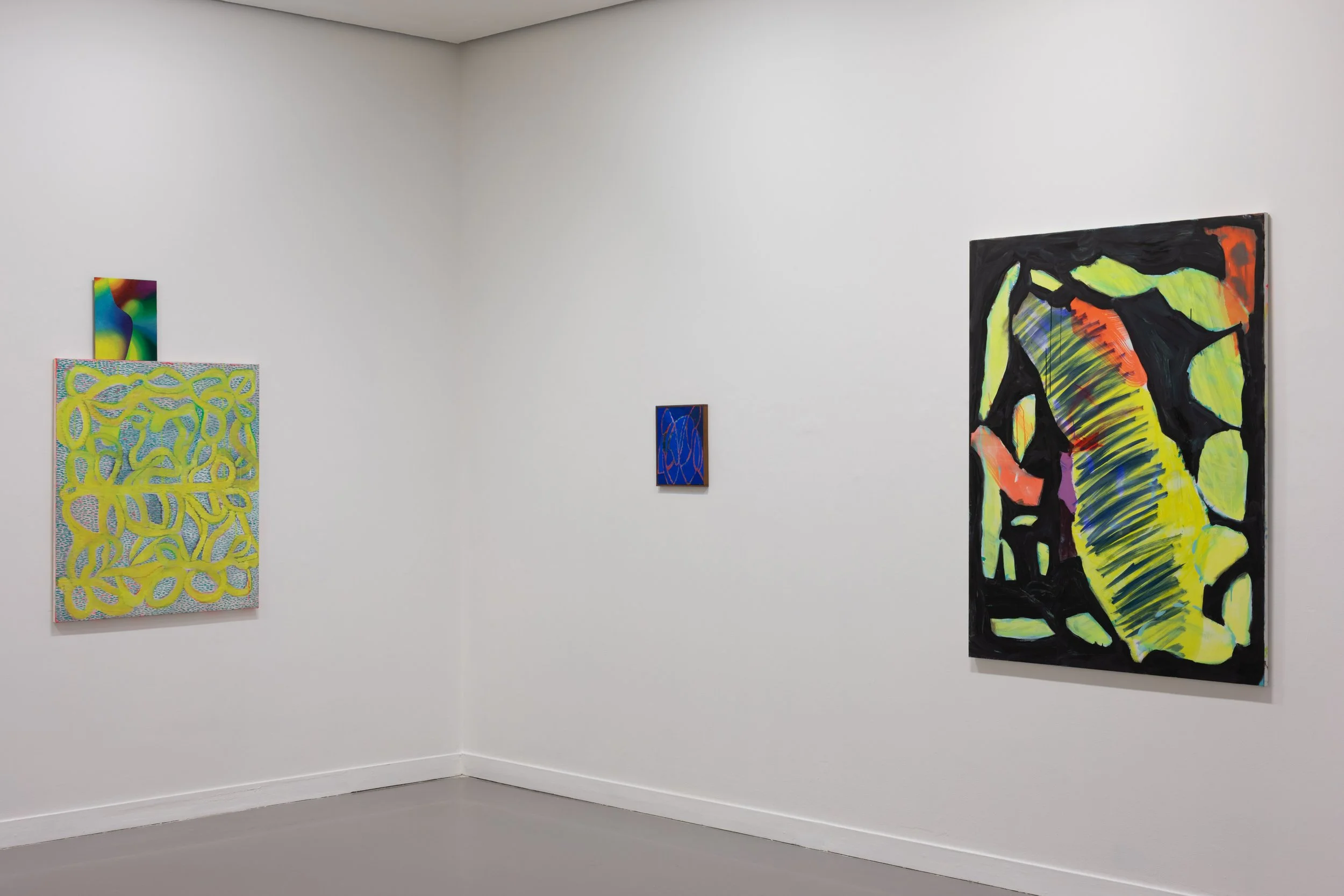  Paint Moves, RHA Ashford Gallery.  Photography Lee Welch 