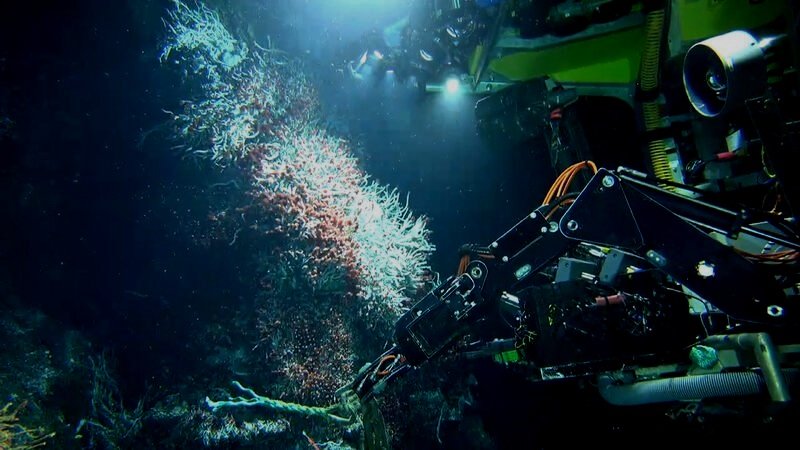 ROV surveying subsea hydrothermal vent