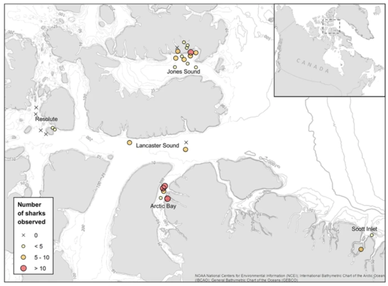 Cette image identifie les distributions de requins dans le détroit de Lancaster