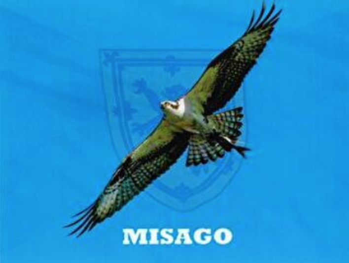 SubC Imaging est fier d'accueillir son nouveau distributeur, Misago Co.