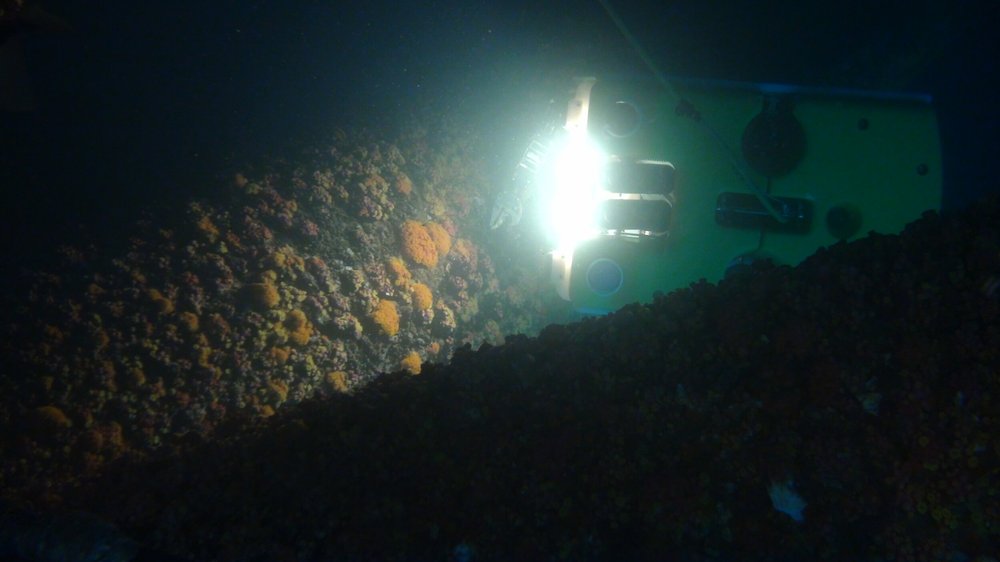 Subsea LED lights for ROV and AUV camera systems - SubC Imaging — SubC ...