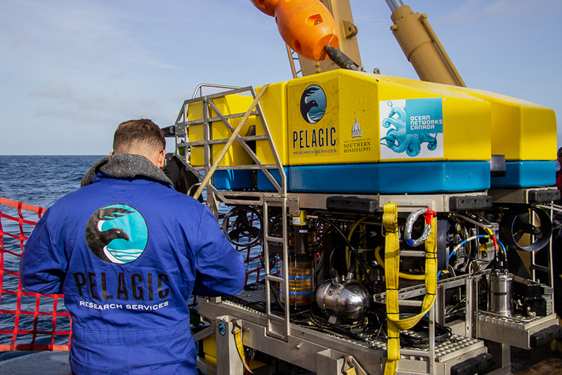 Pelagic ROV with subsea camera from SubC Imaging