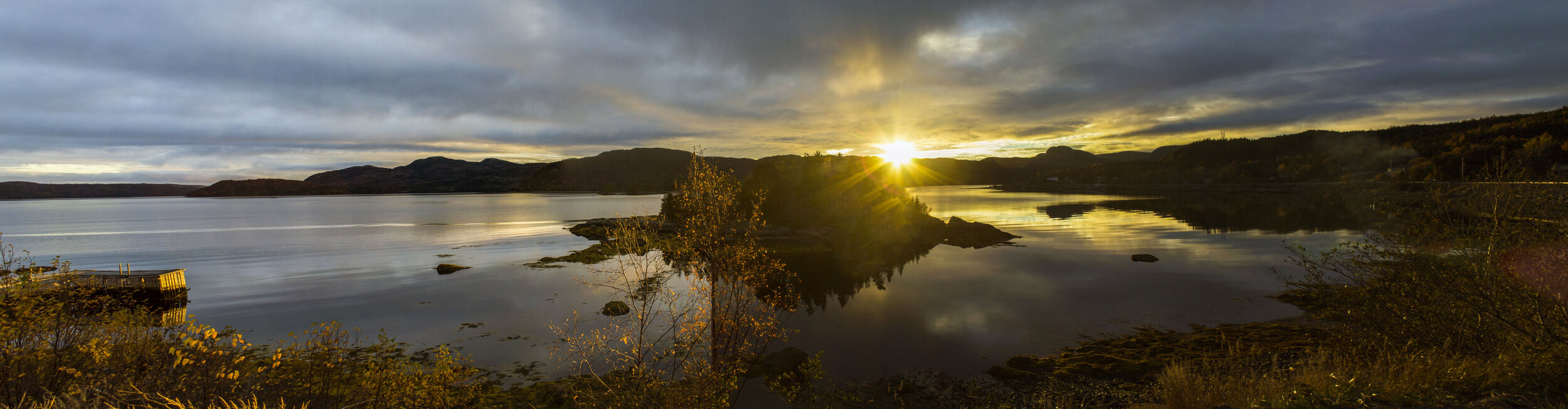 SubC Stories: Why Newfoundland?