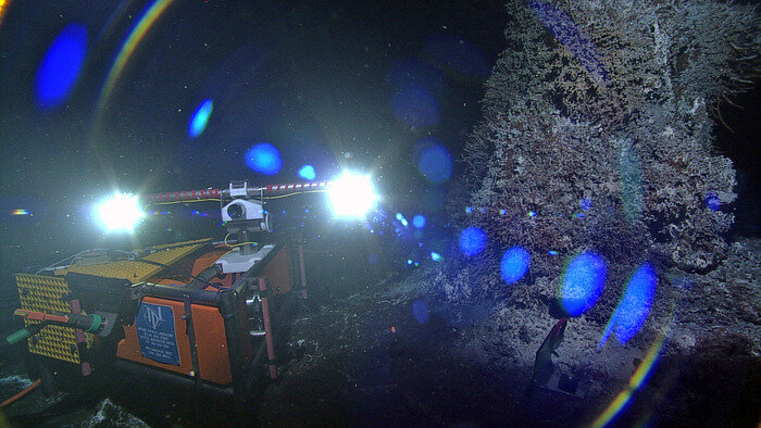 Above:  SubC LED lights are long-lasting and have been used in ocean observatories around the world.