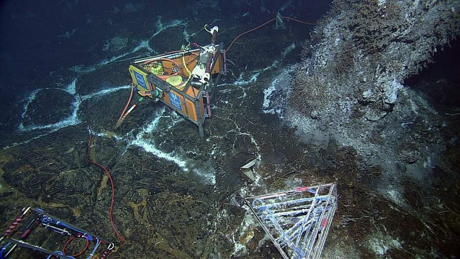 Ocean Observatory Camera Systems for Long-Term Monitoring and Studies