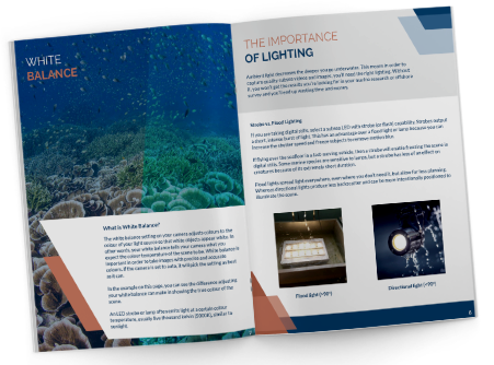 Page spread from subsea photography guide
