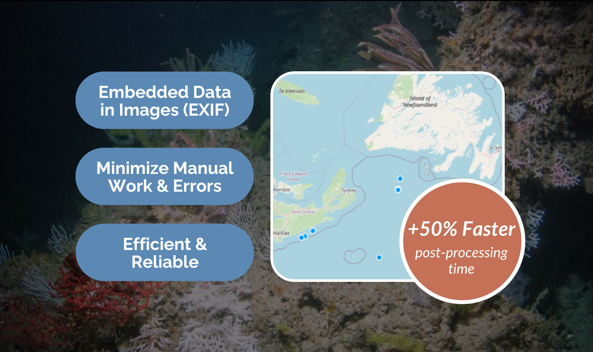 Cut Post-Survey Processing Time by 50% with Clean Metadata